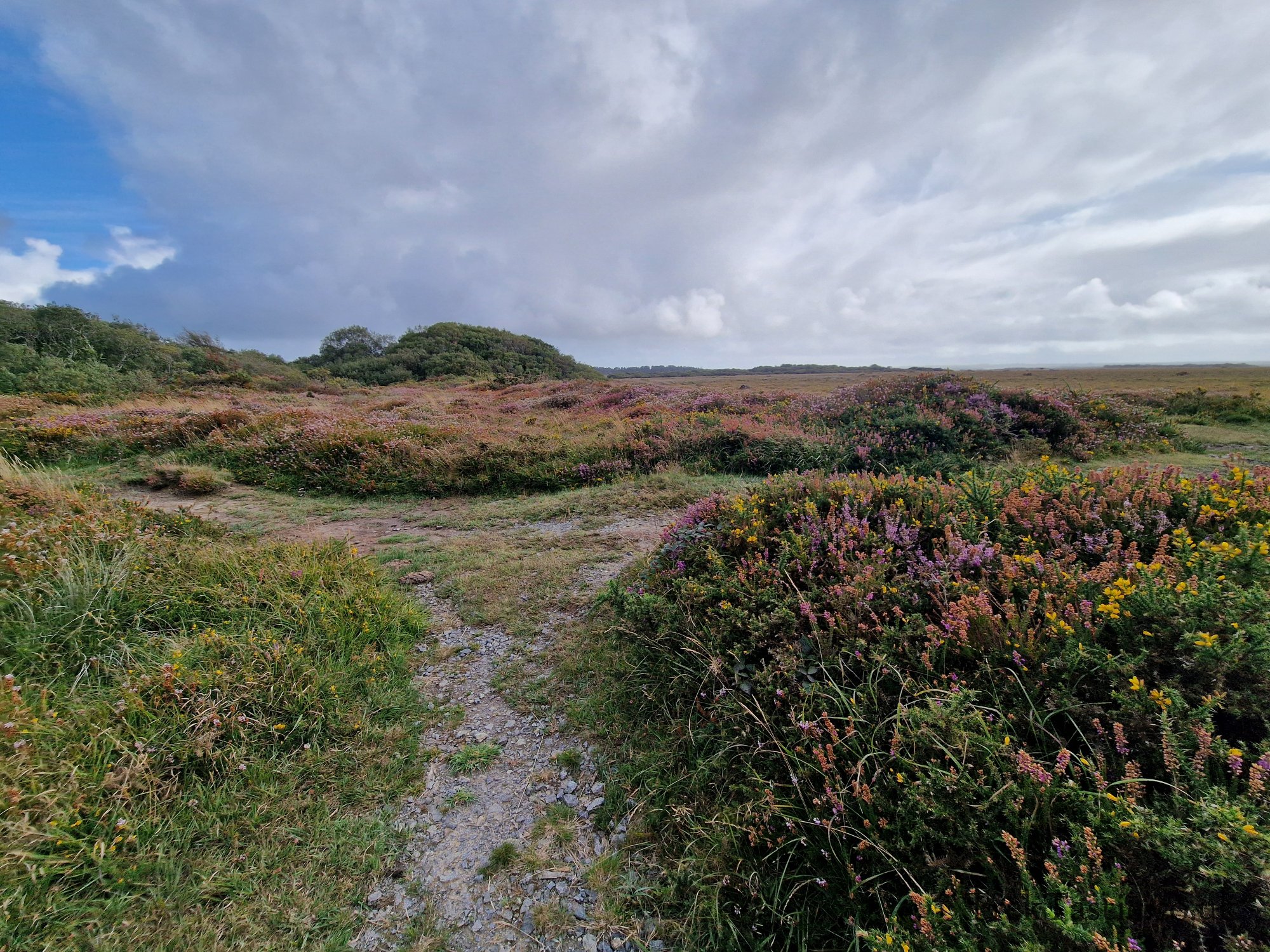 Goonhilly Downs gallery image 12