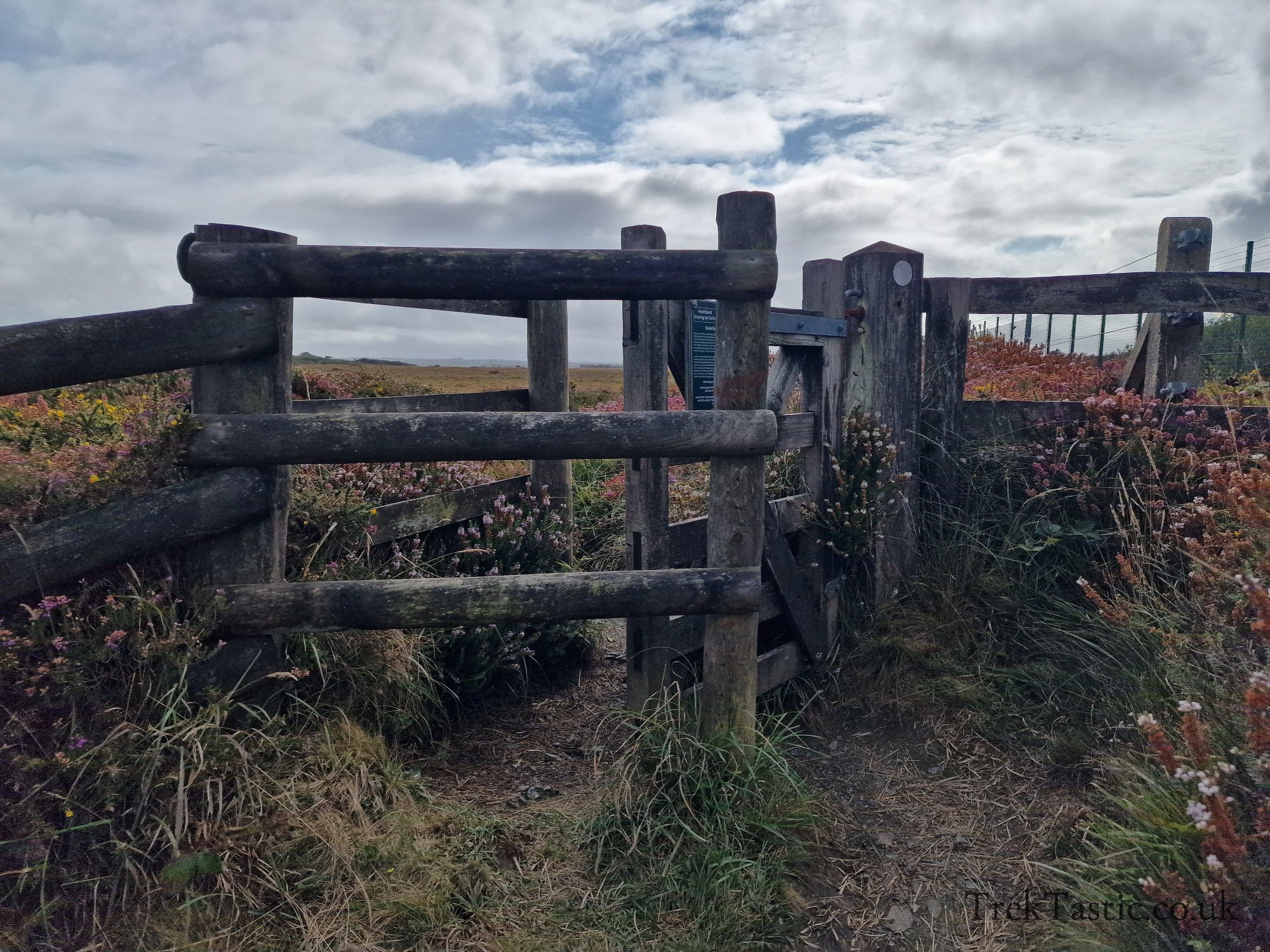 Goonhilly Downs gallery image 13