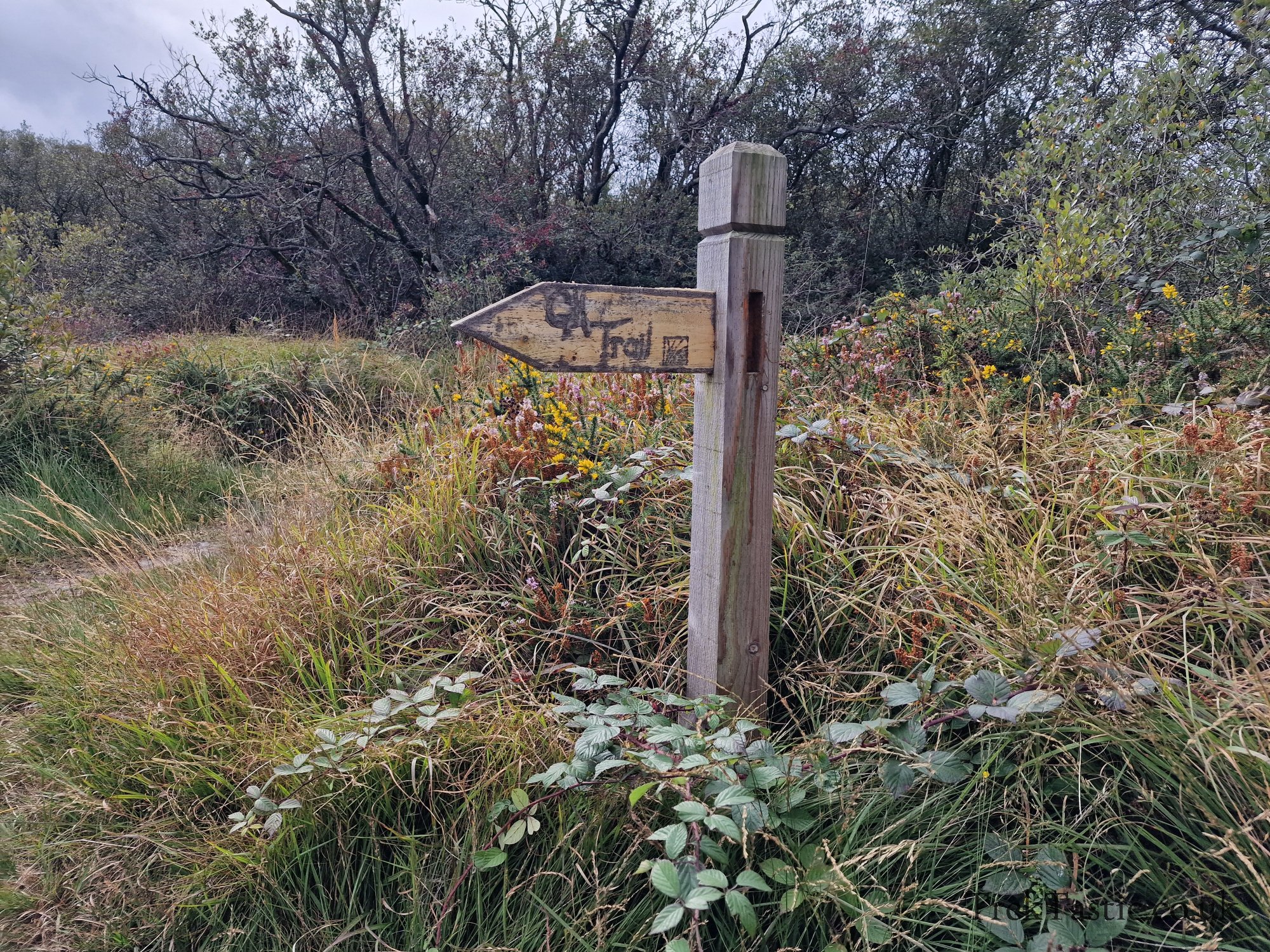 Goonhilly Downs gallery image 14