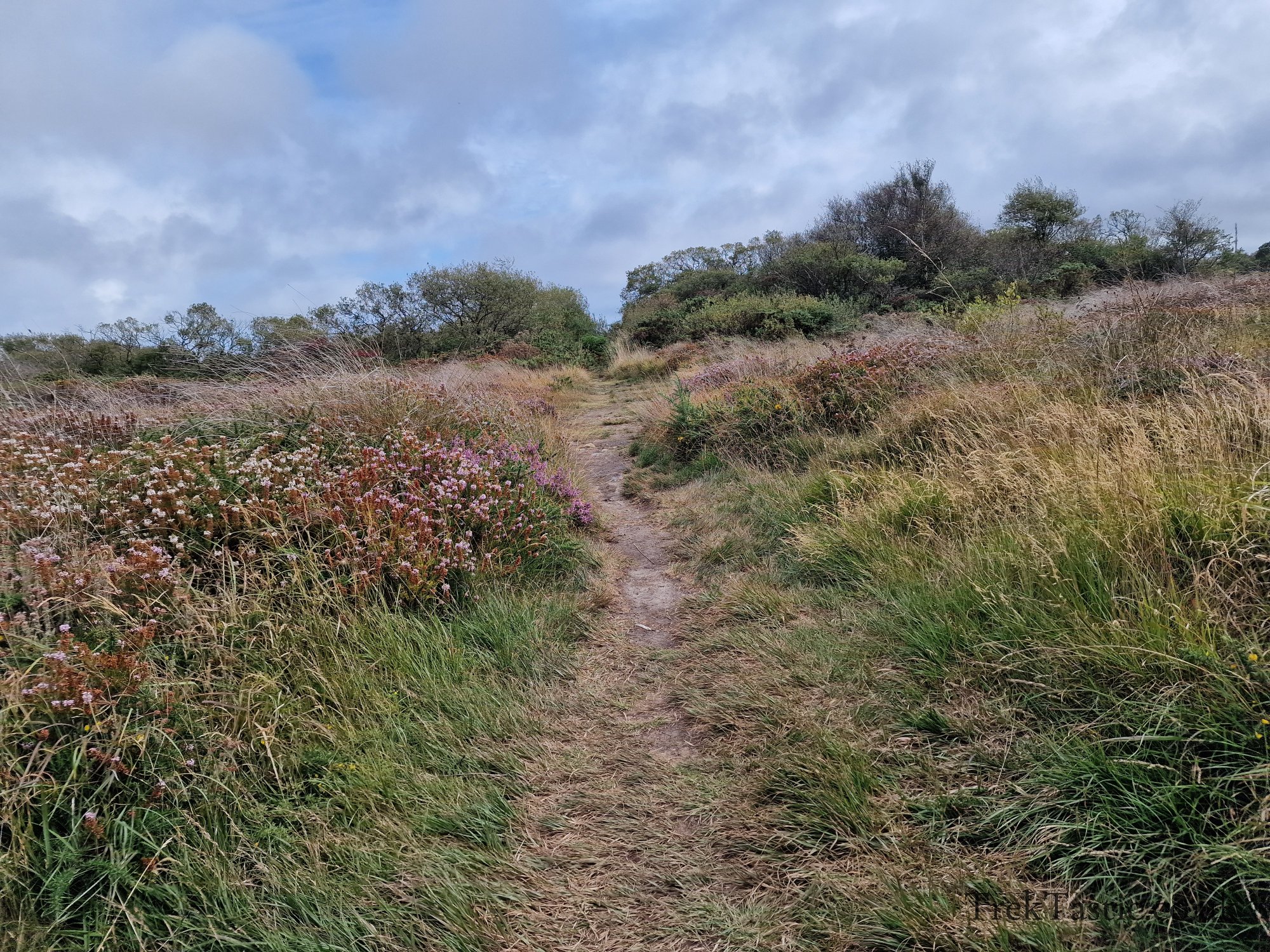 Goonhilly Downs gallery image 15