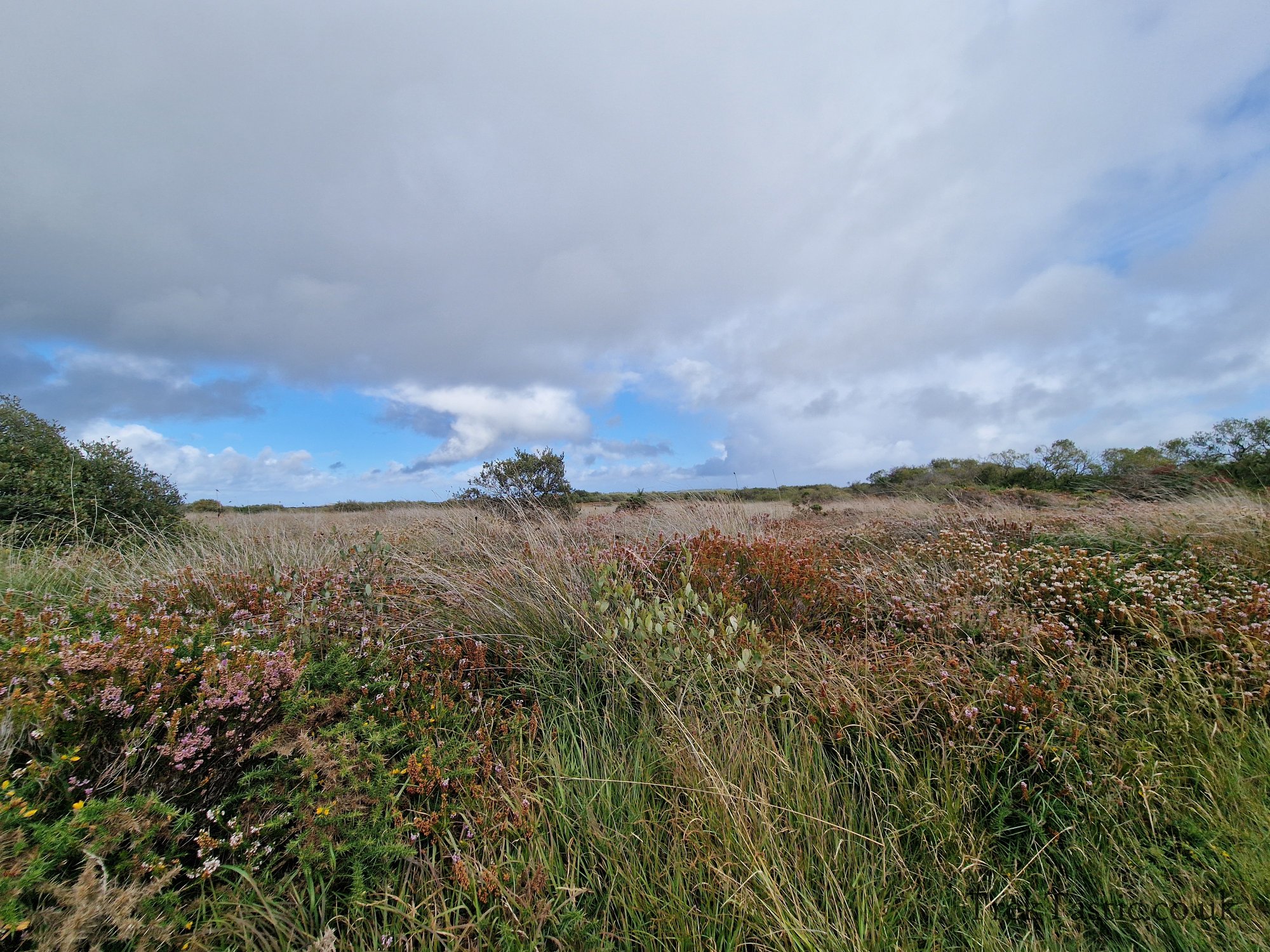 Goonhilly Downs gallery image 16