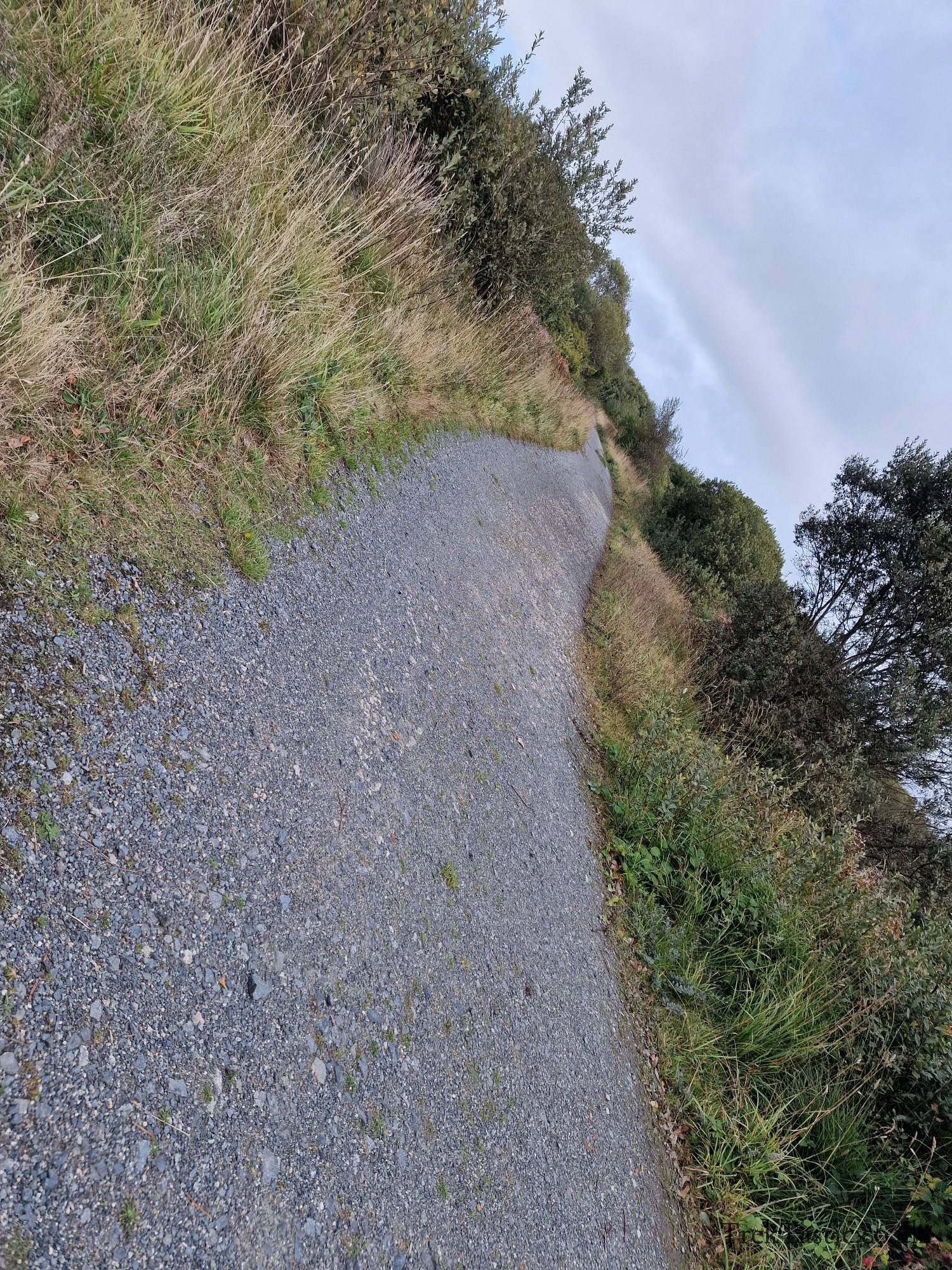 Goonhilly Downs gallery image 17