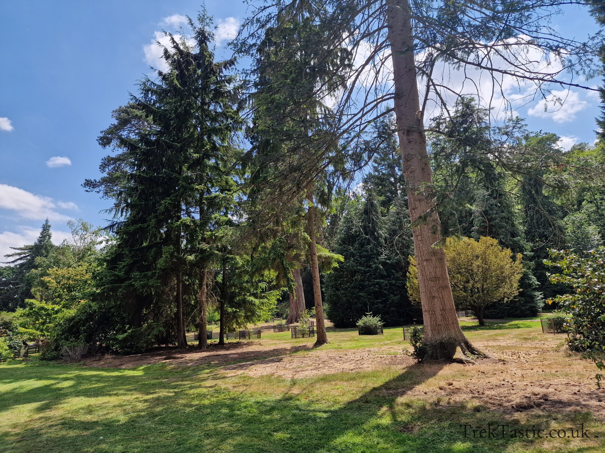 Harcourt Arboretum gallery image 1