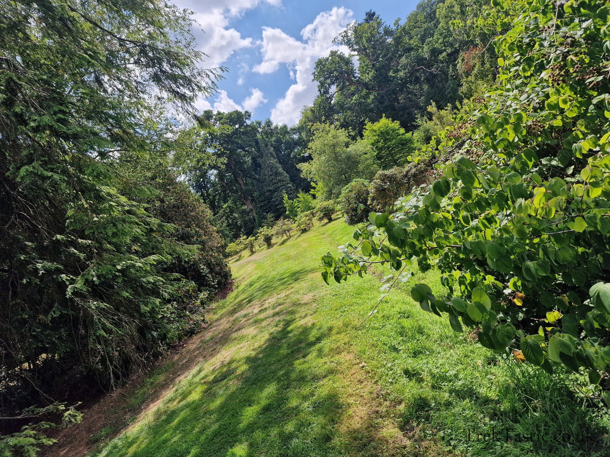 Harcourt Arboretum gallery image 2