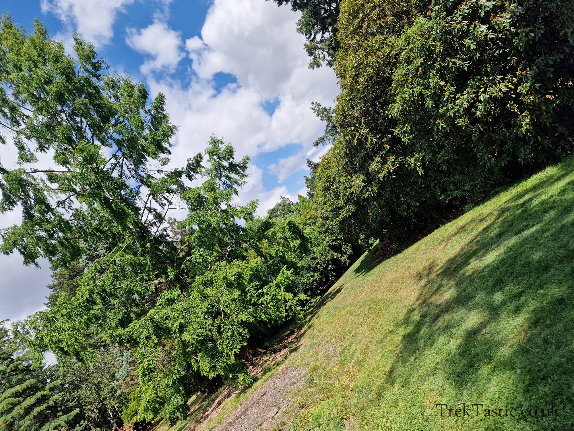 Harcourt Arboretum gallery image 3