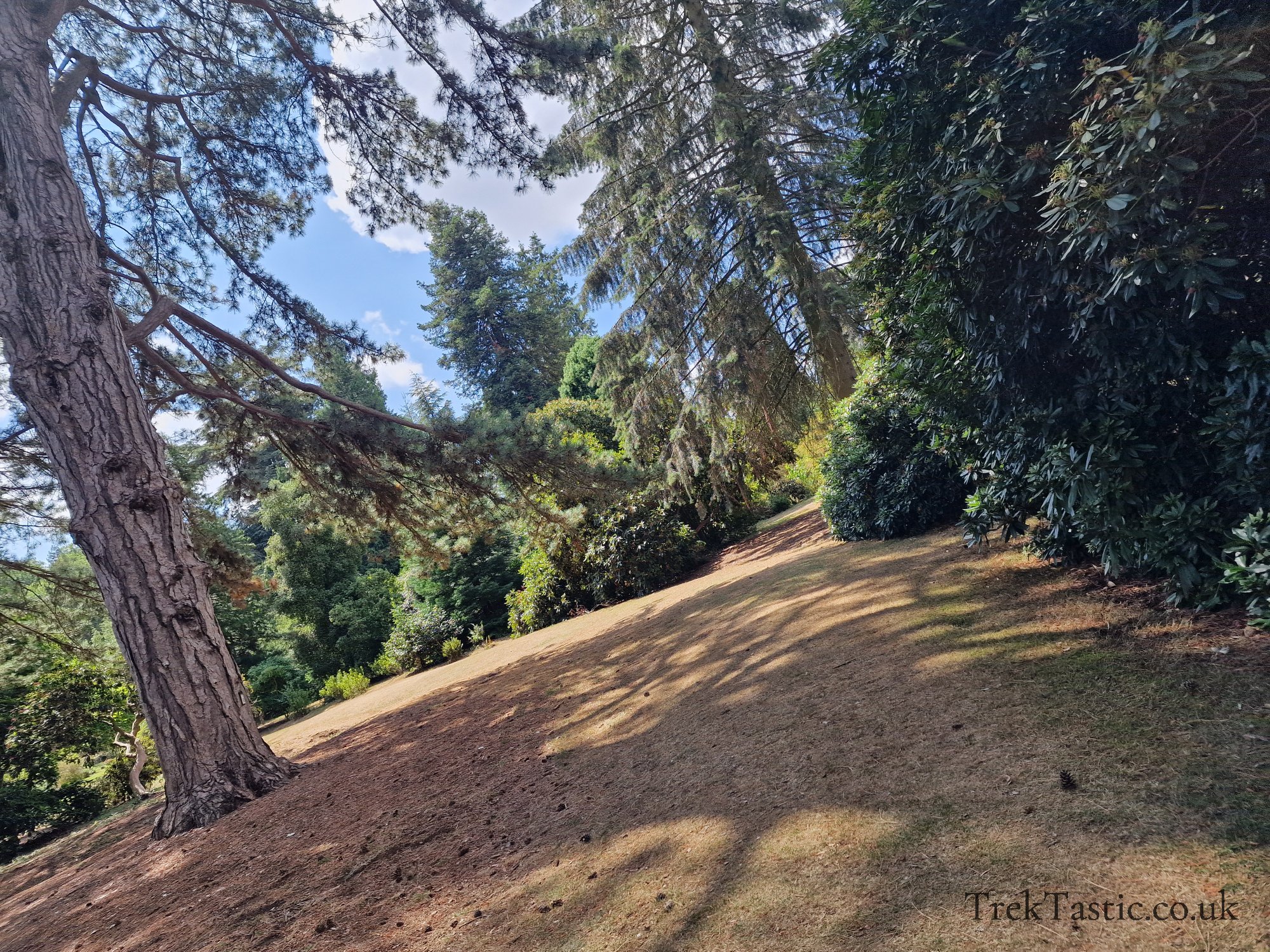 Harcourt Arboretum gallery image 4