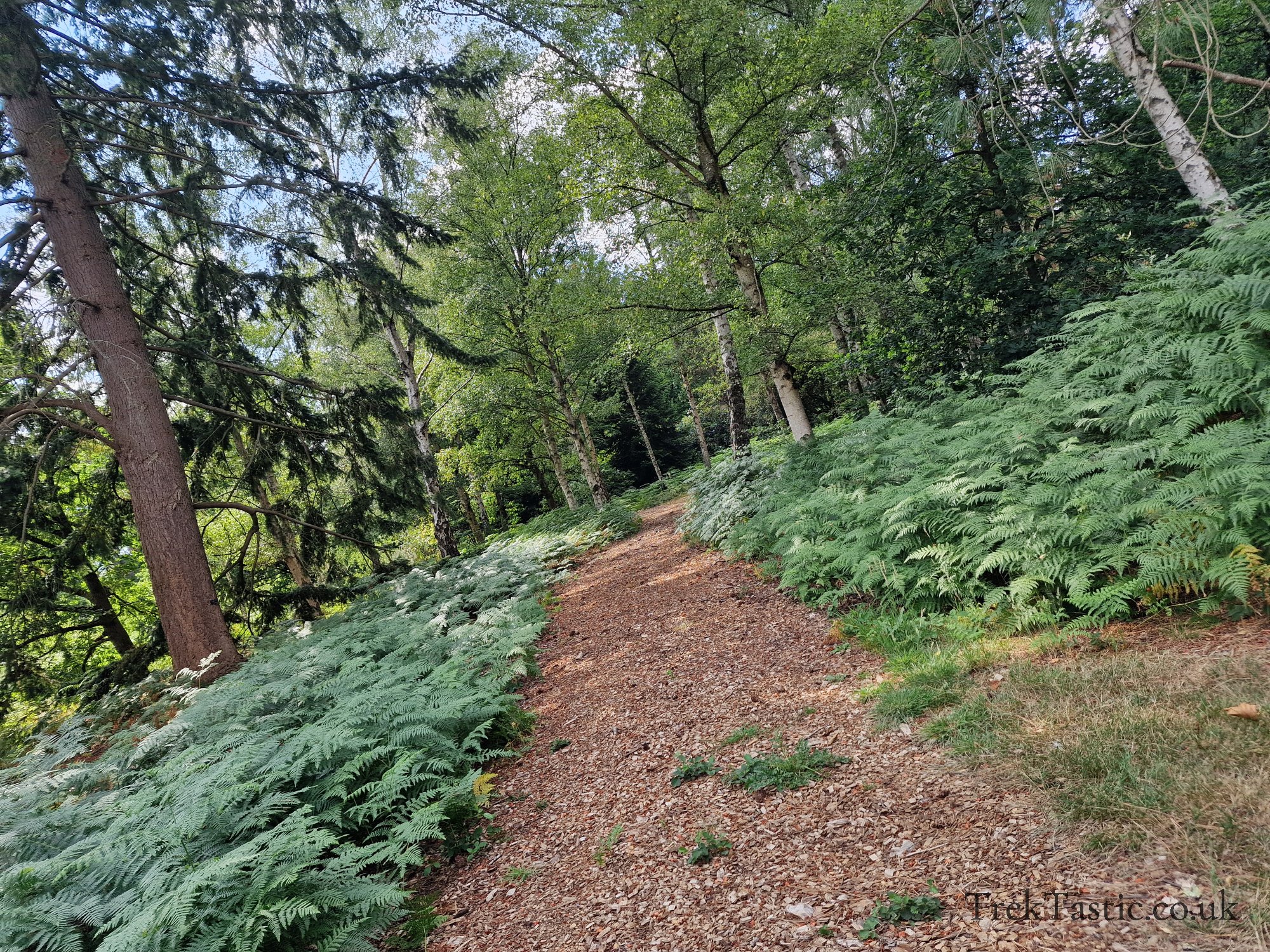 Harcourt Arboretum gallery image 6