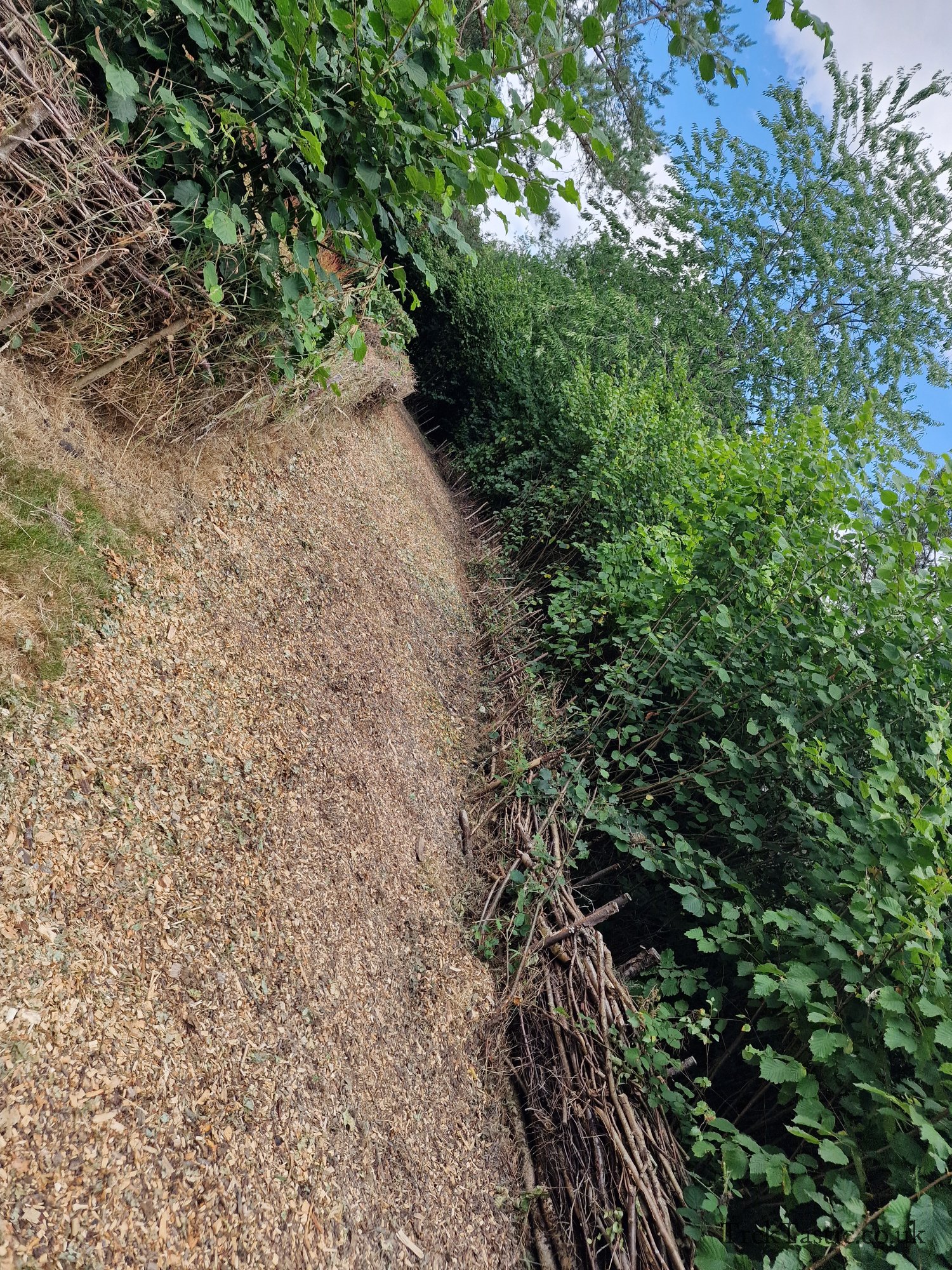 Harcourt Arboretum gallery image 7