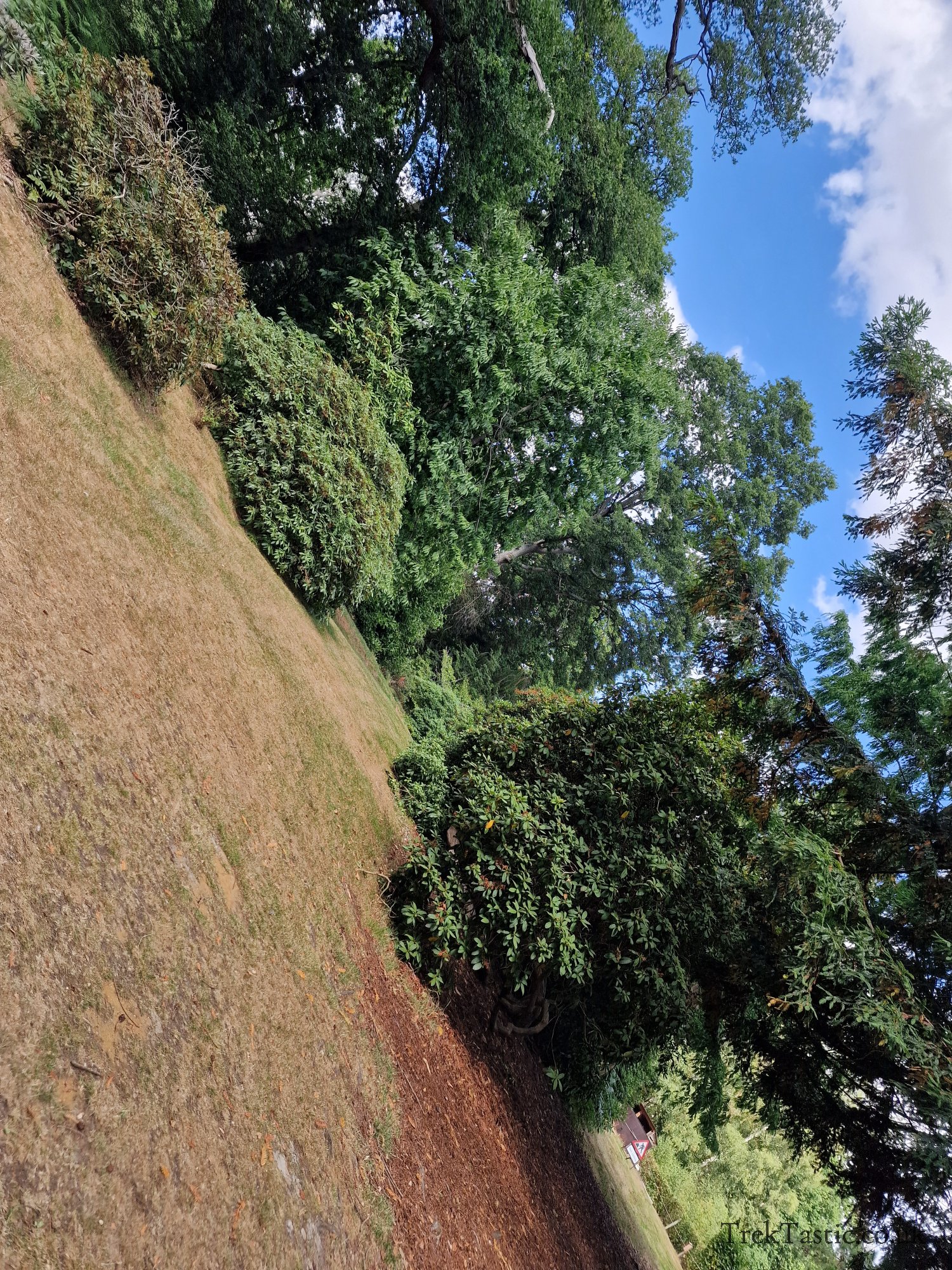 Harcourt Arboretum gallery image 9