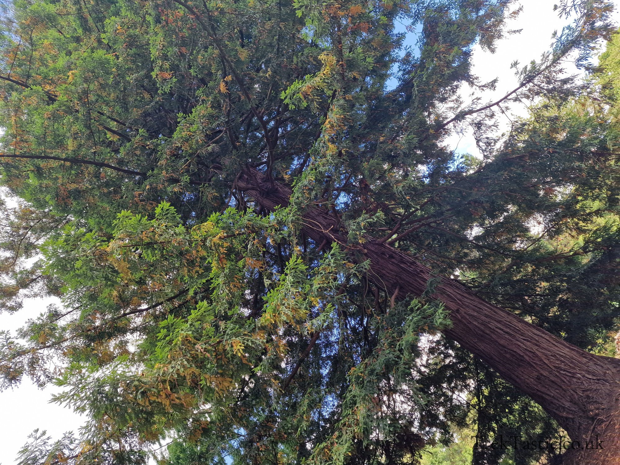 Harcourt Arboretum gallery image 10