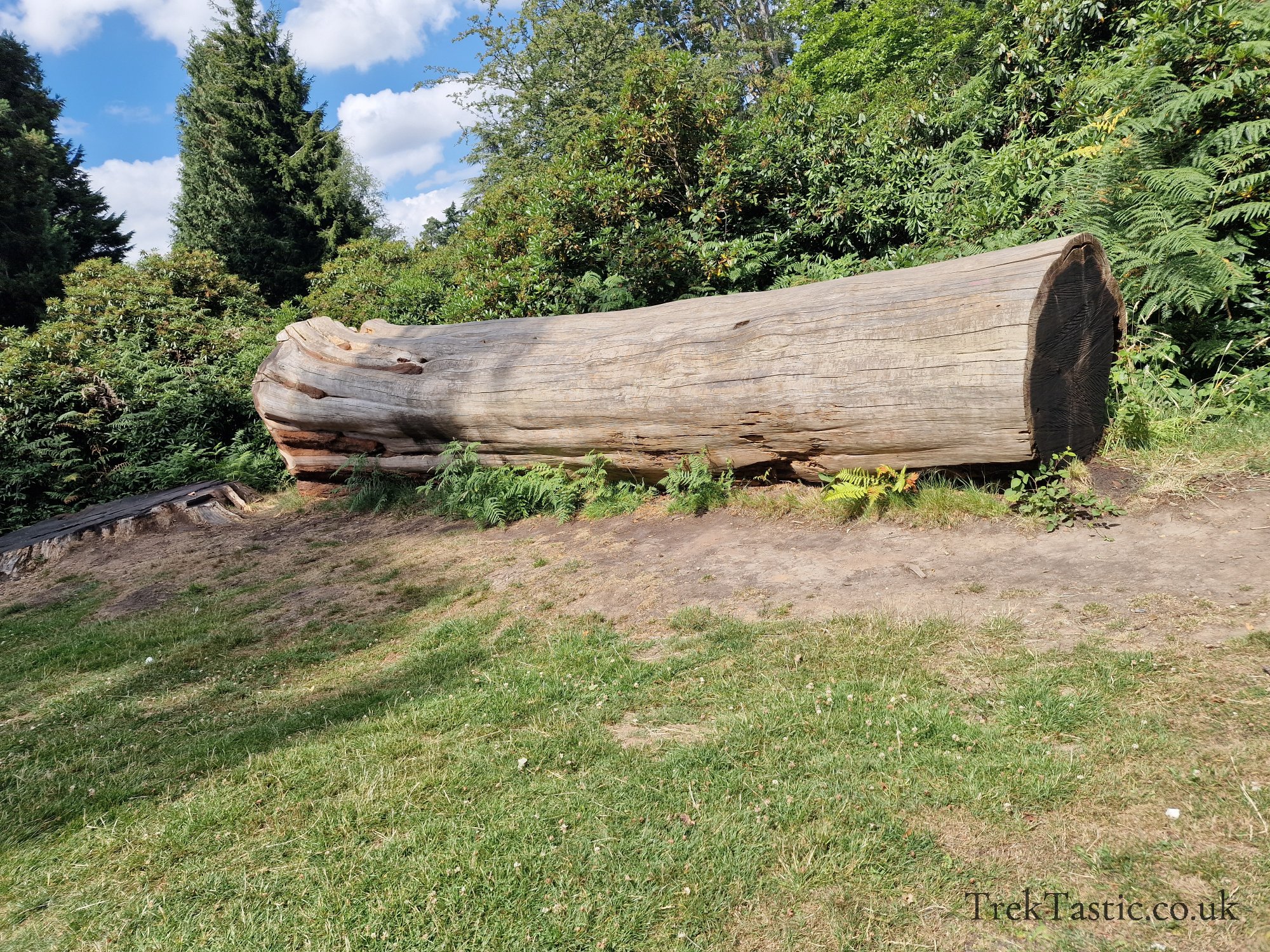 Harcourt Arboretum gallery image 11