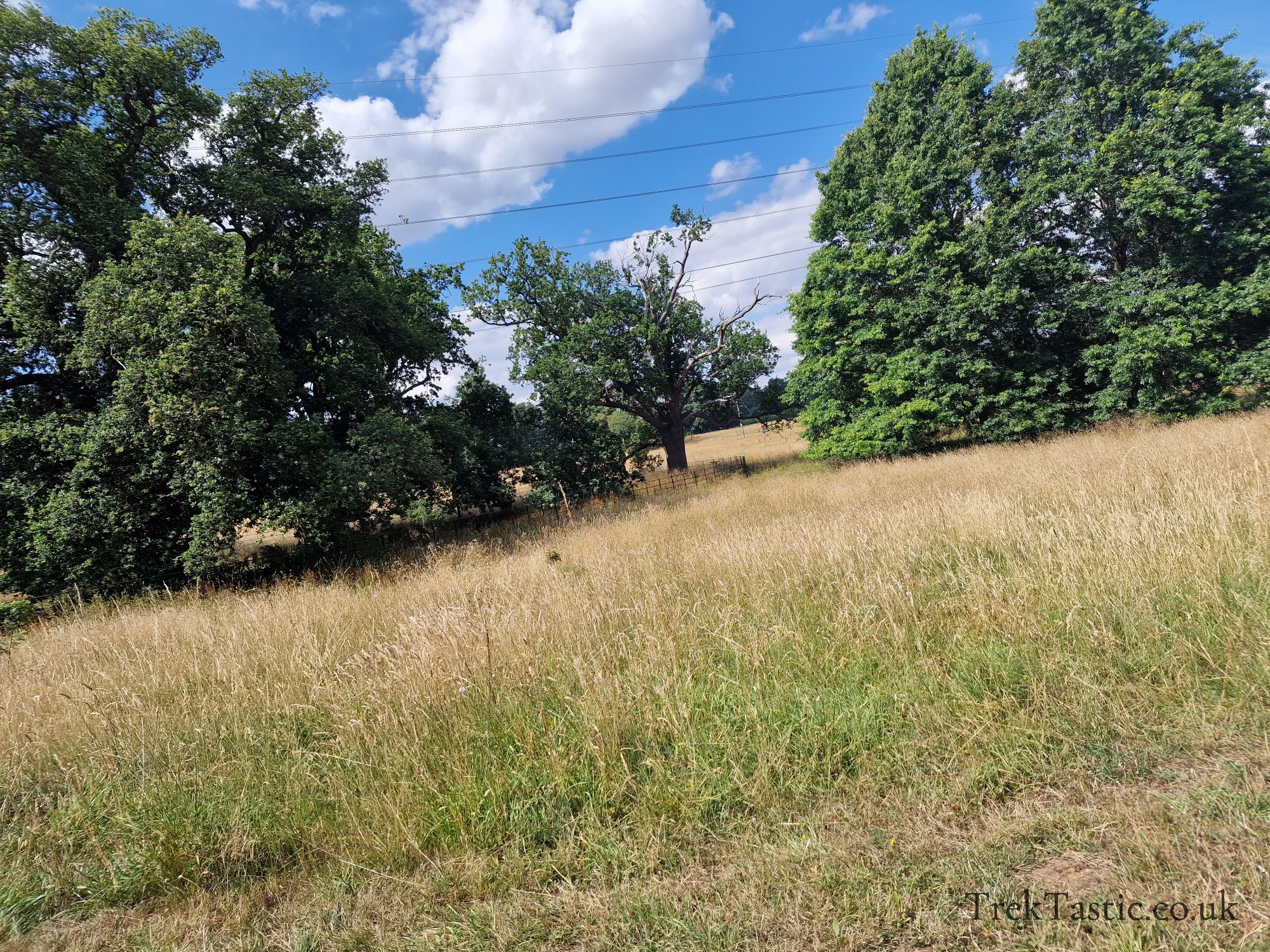 Harcourt Arboretum gallery image 14