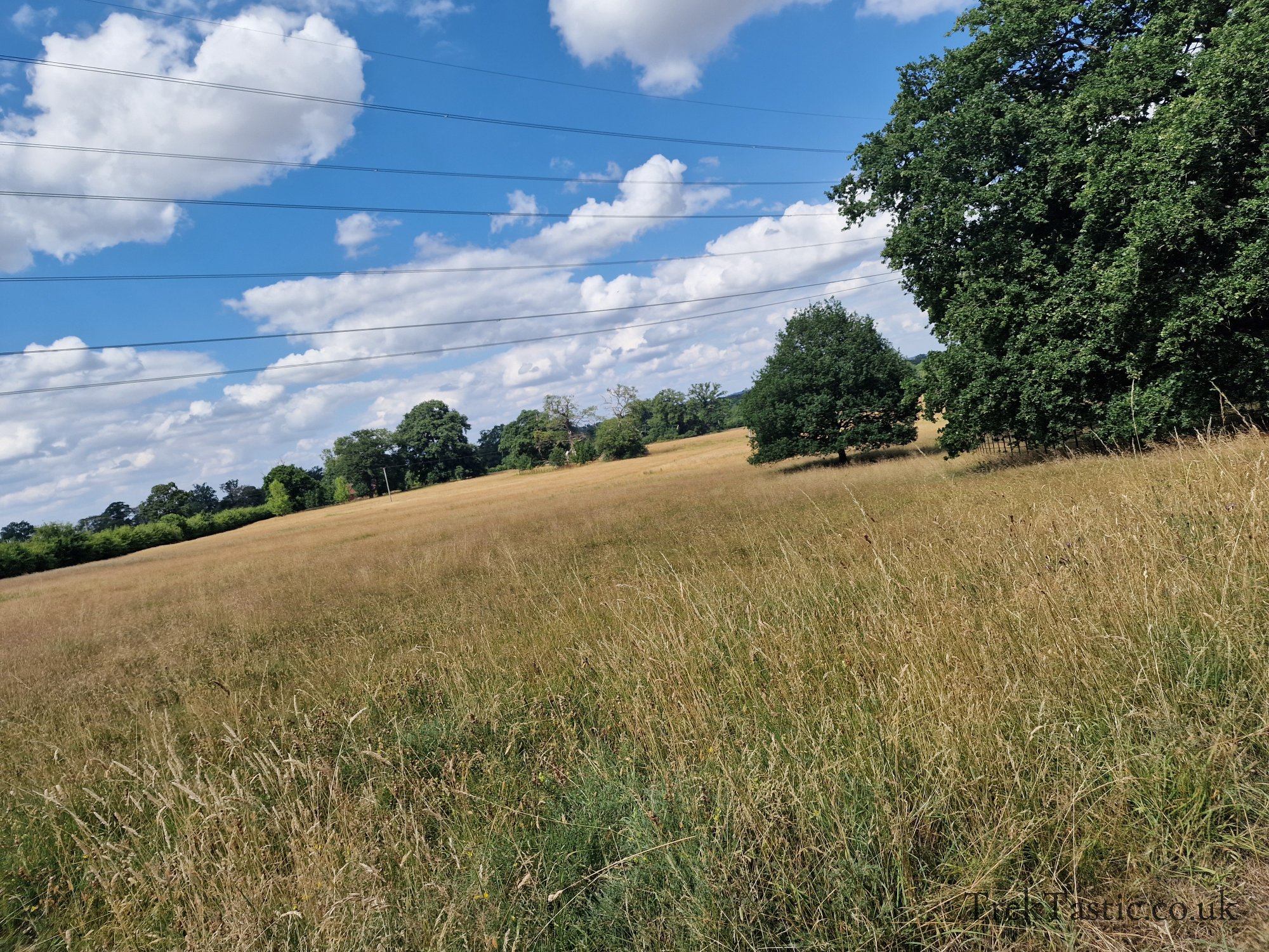 Harcourt Arboretum gallery image 15