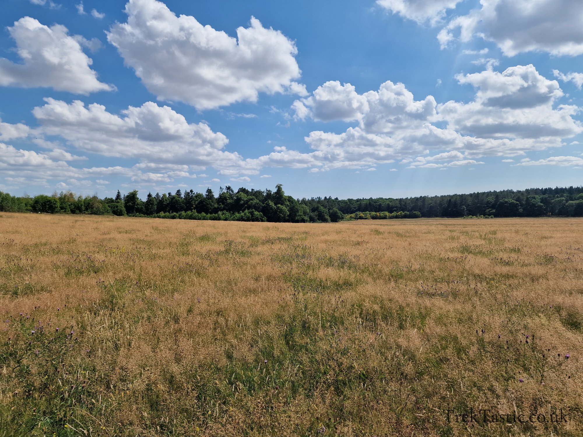 Harcourt Arboretum gallery image 16