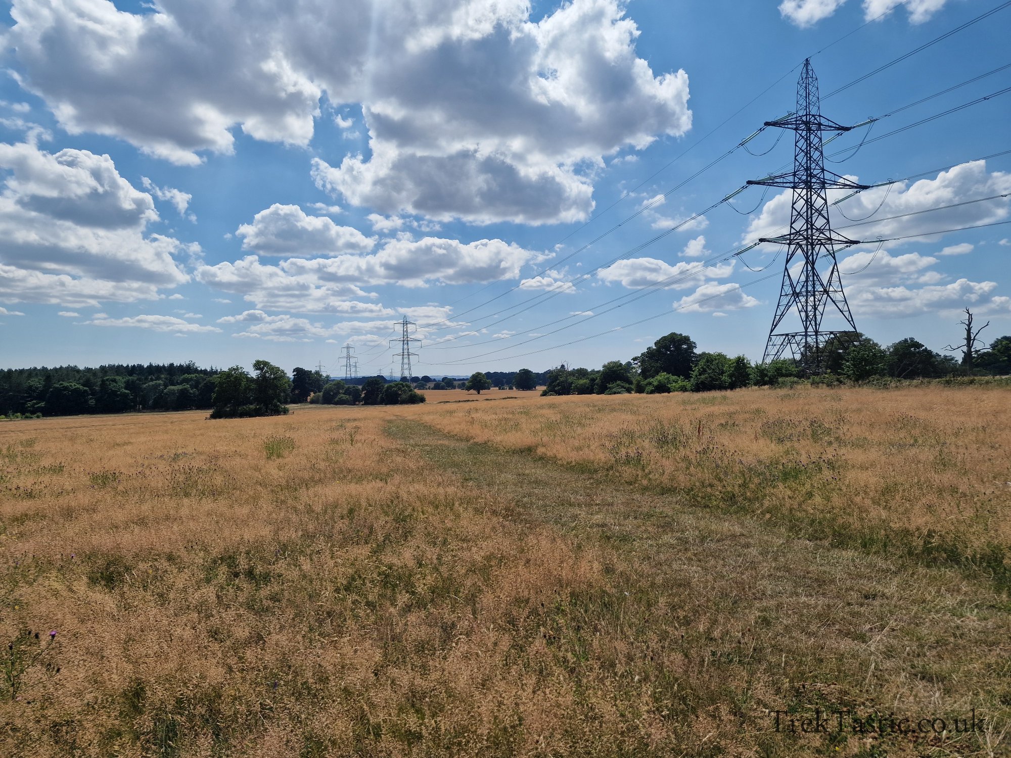 Harcourt Arboretum gallery image 17