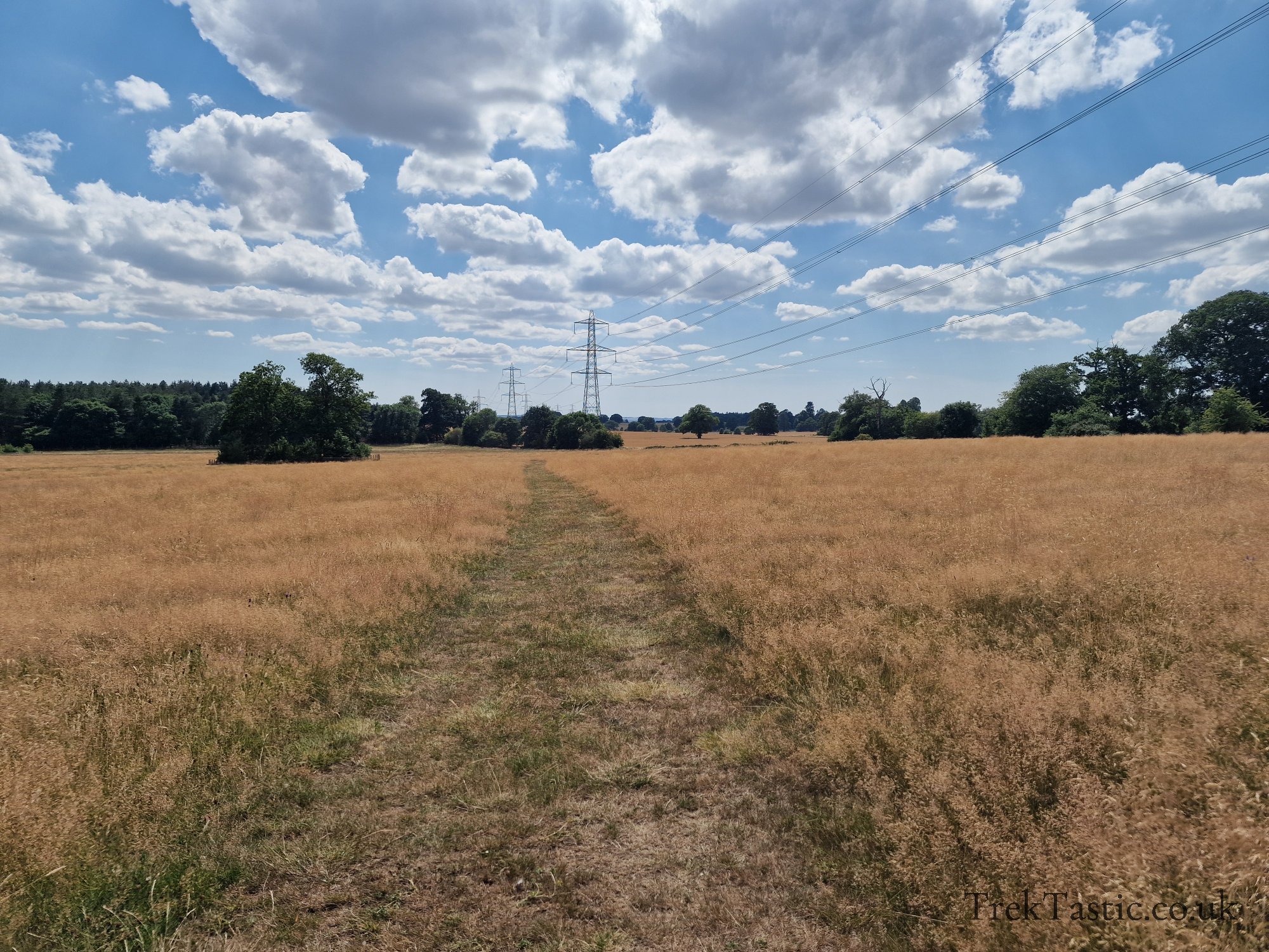 Harcourt Arboretum gallery image 18
