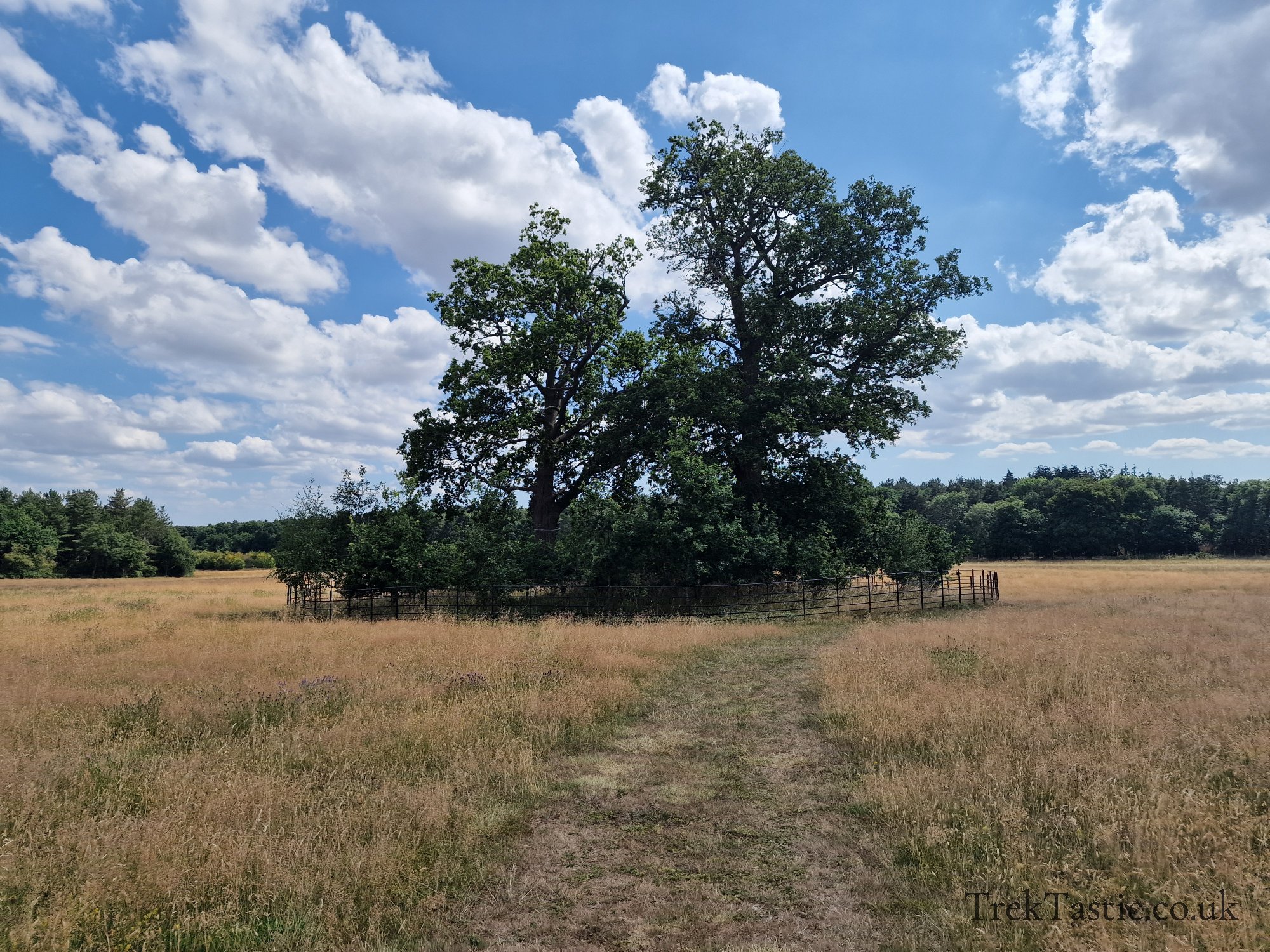 Harcourt Arboretum gallery image 19