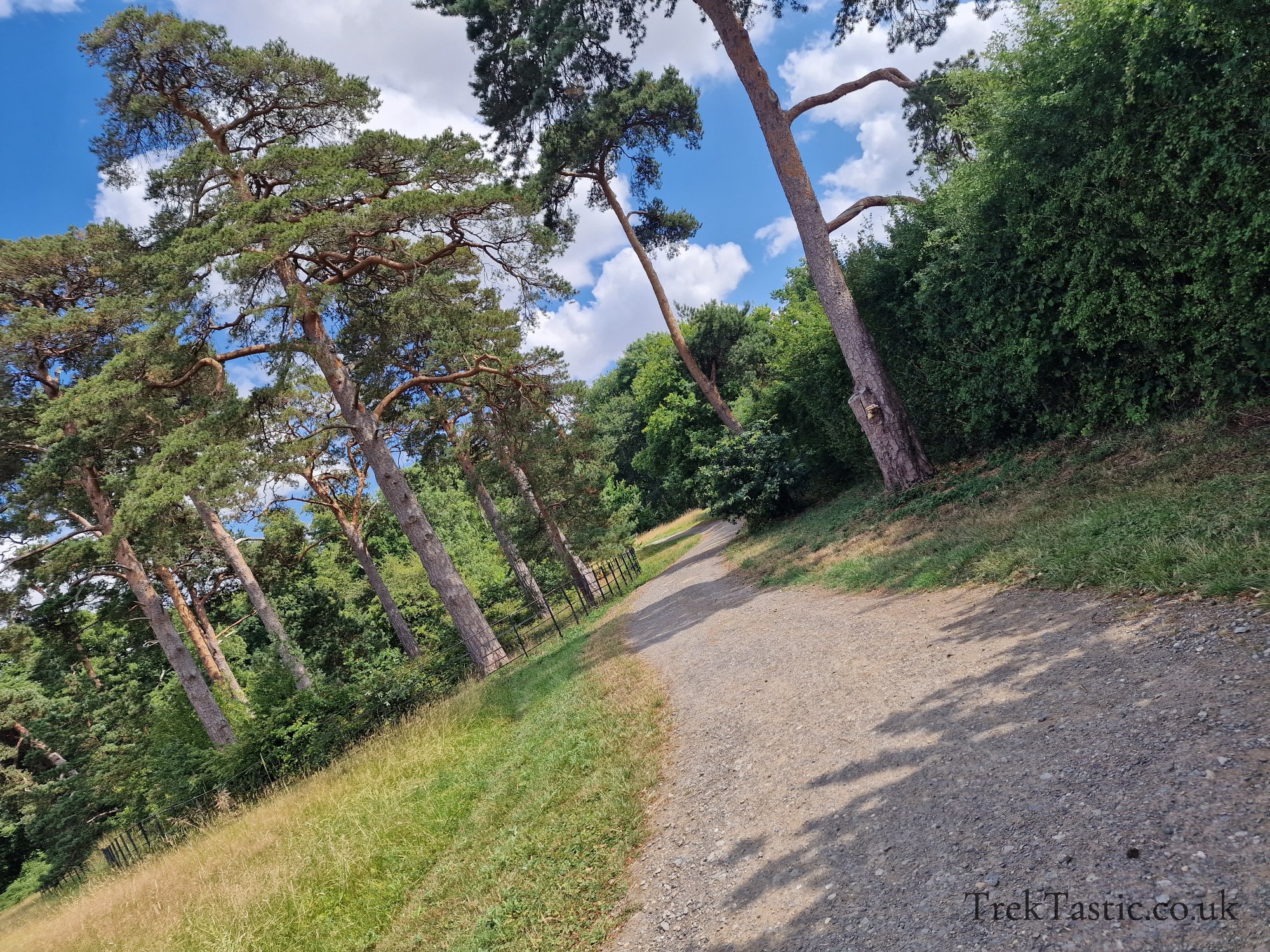 Harcourt Arboretum gallery image 20