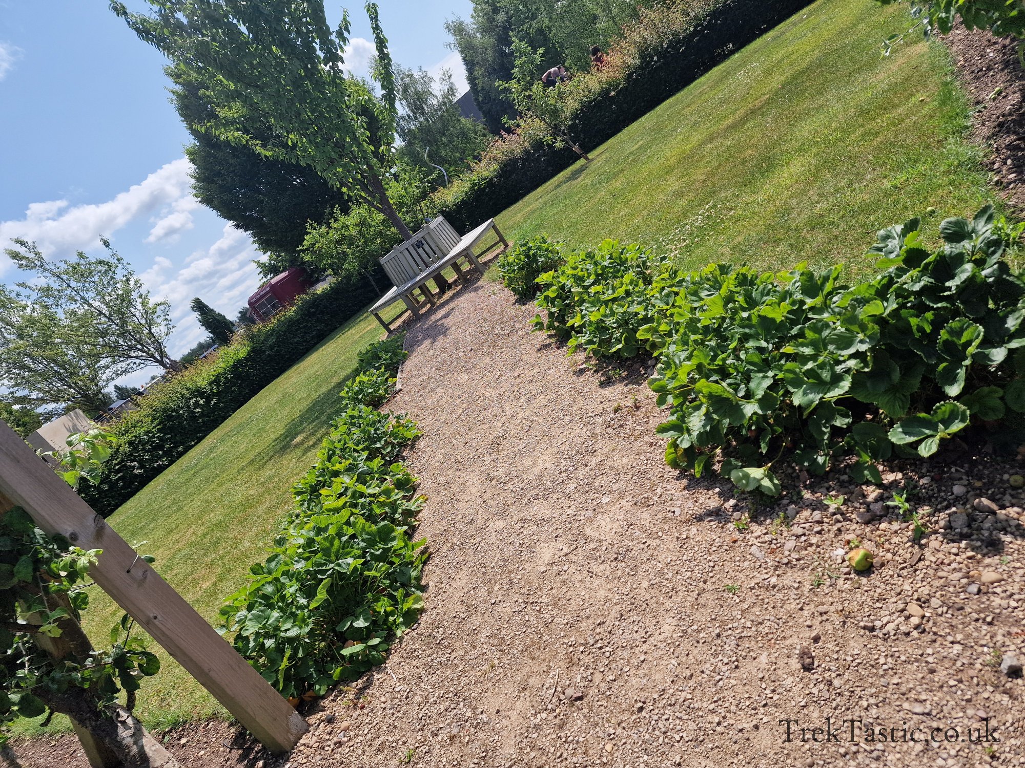National Memorial Arboretum gallery image 58