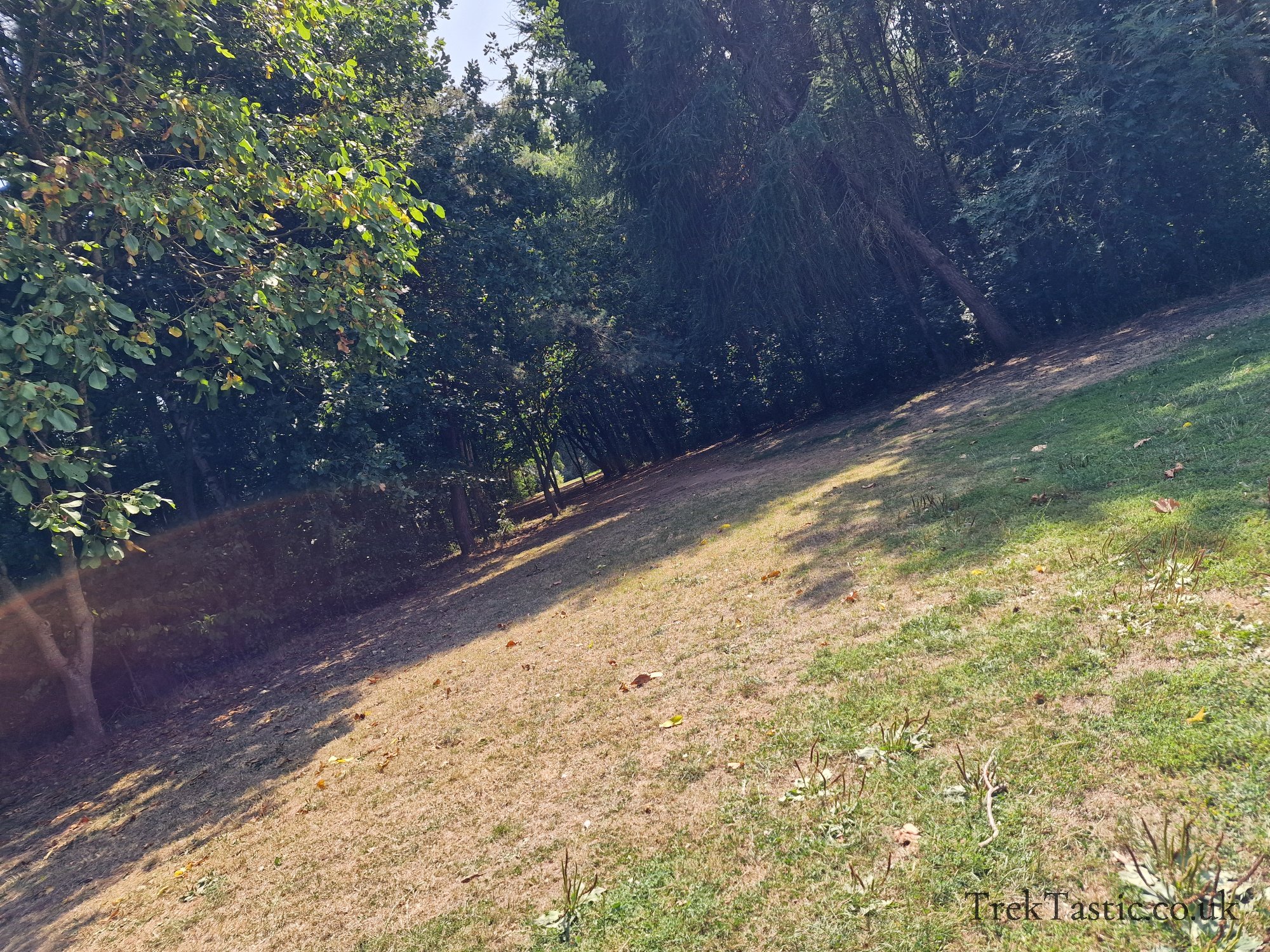 Newent Arboretum gallery image 3