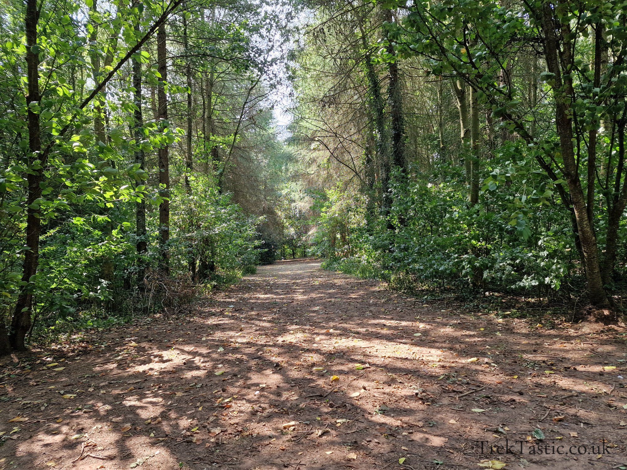 Newent Arboretum gallery image 4