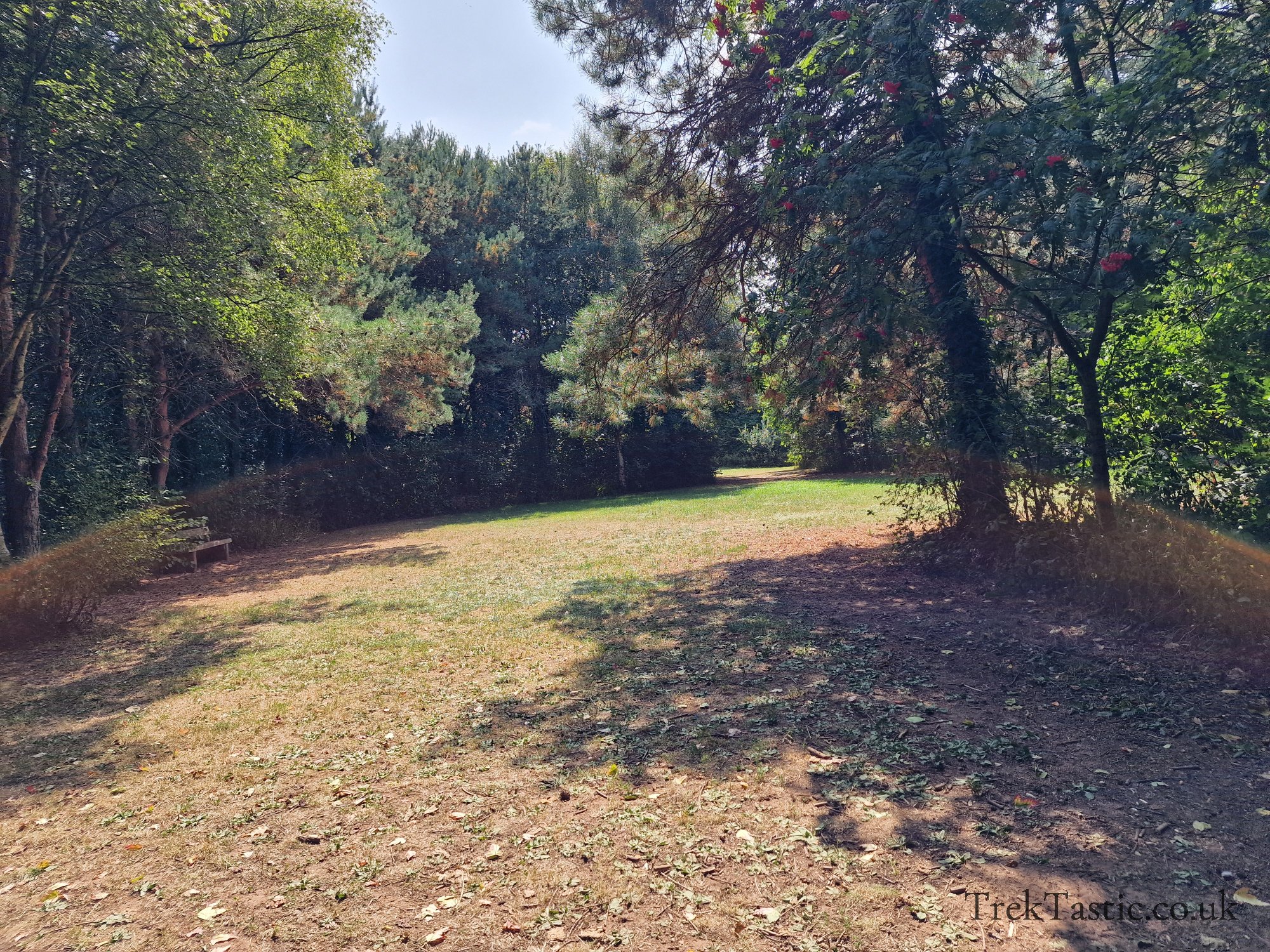 Newent Arboretum gallery image 6