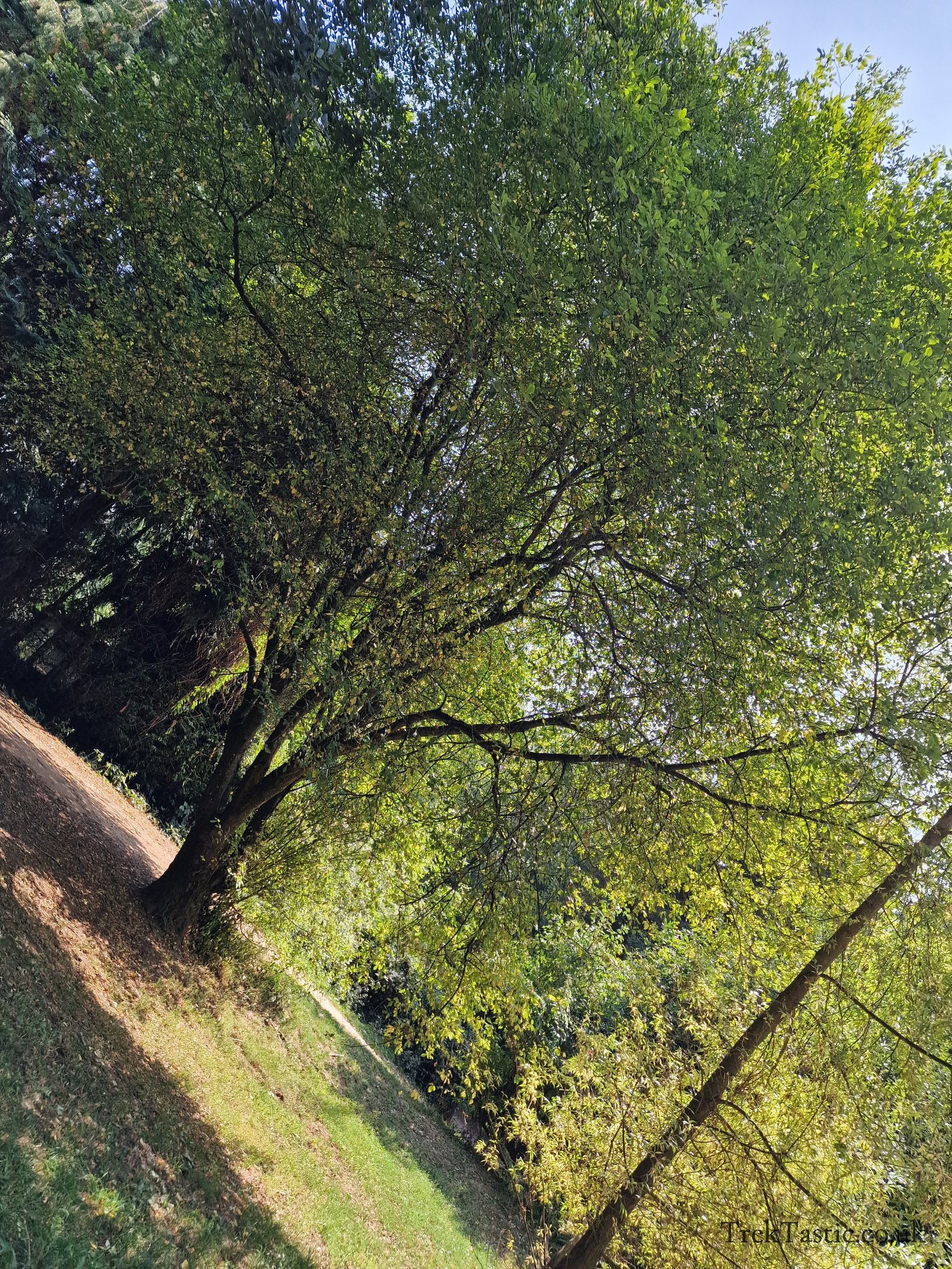 Newent Arboretum gallery image 7