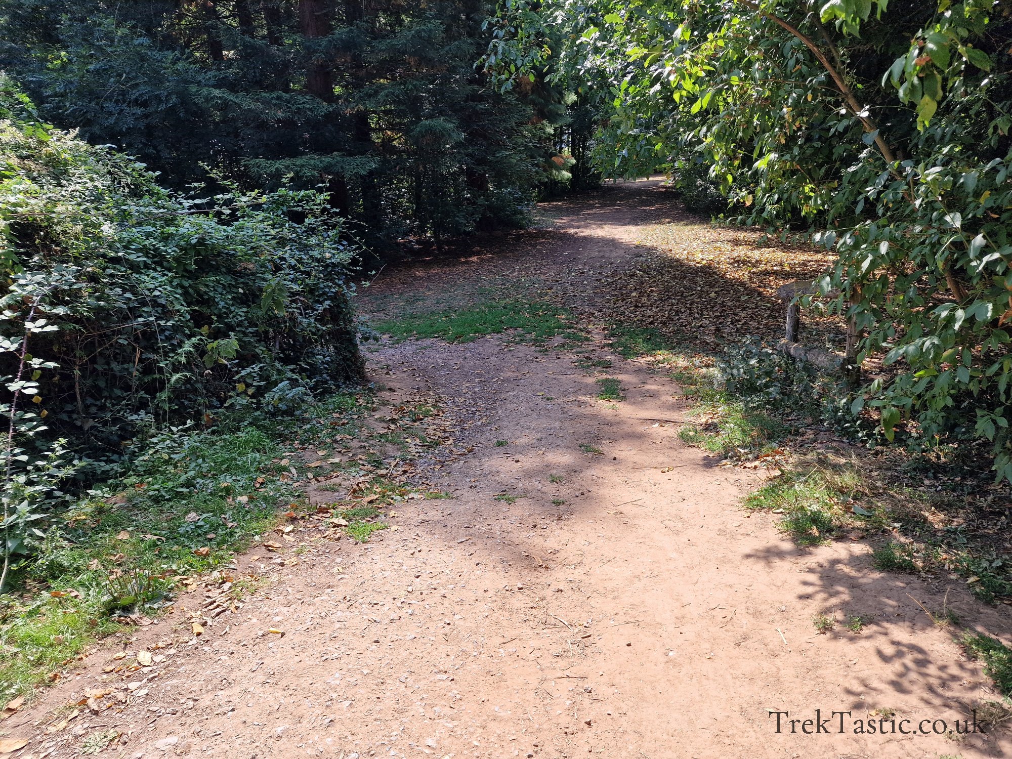 Newent Arboretum gallery image 8