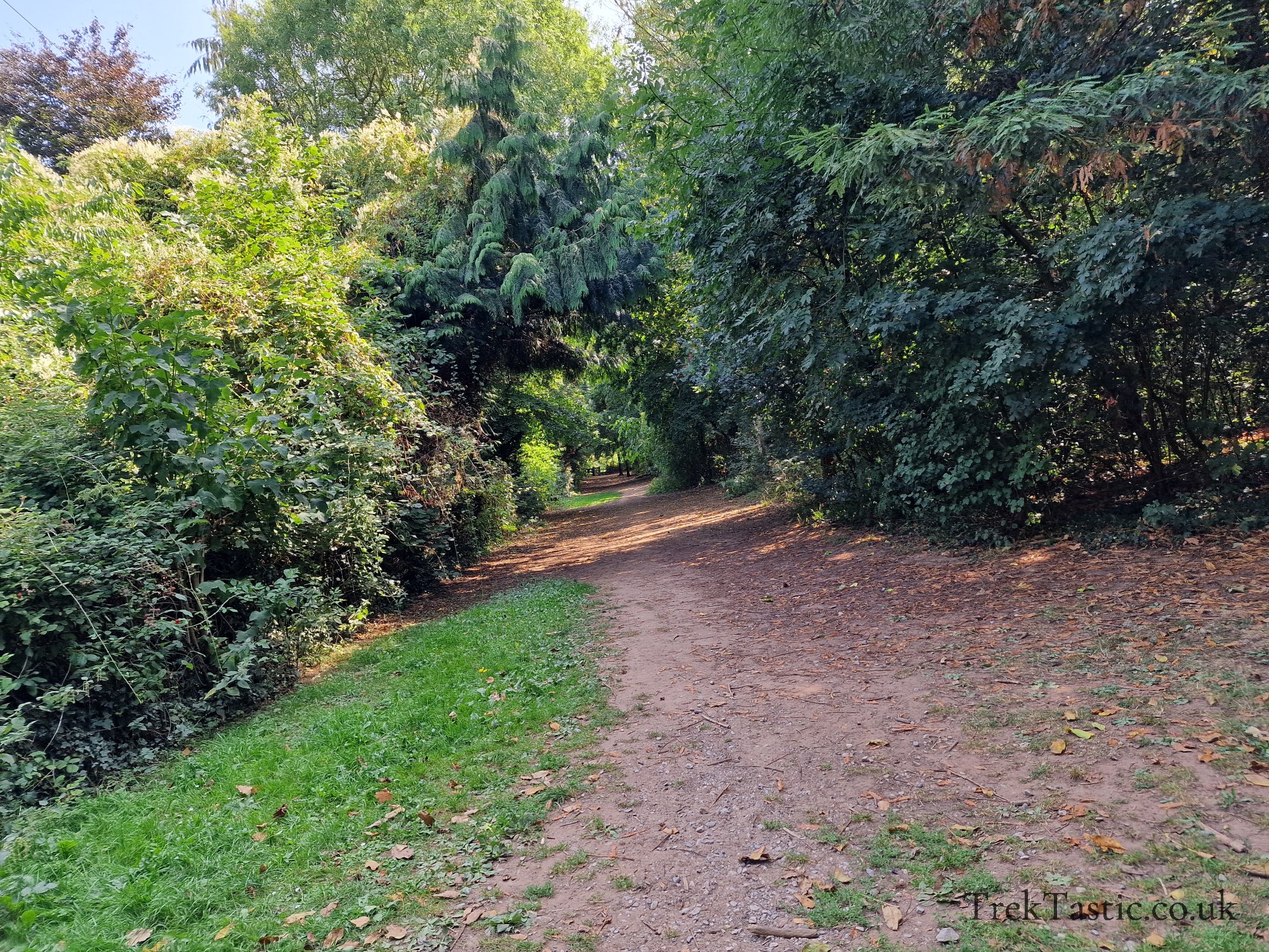 Newent Arboretum gallery image 9