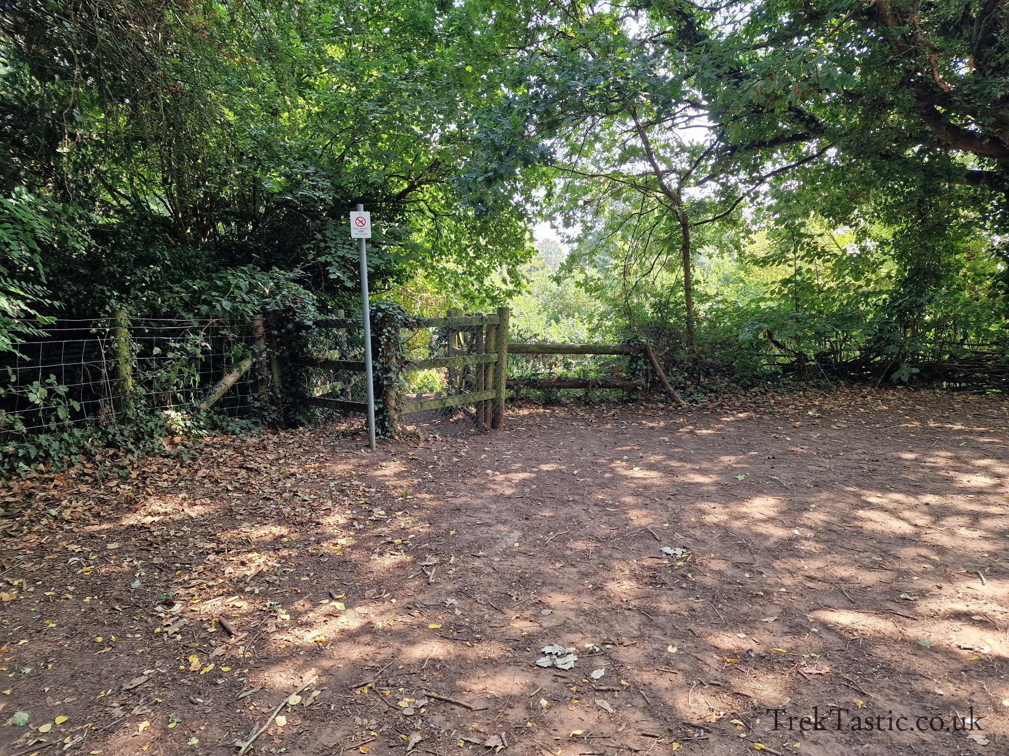 Newent Arboretum gallery image 10