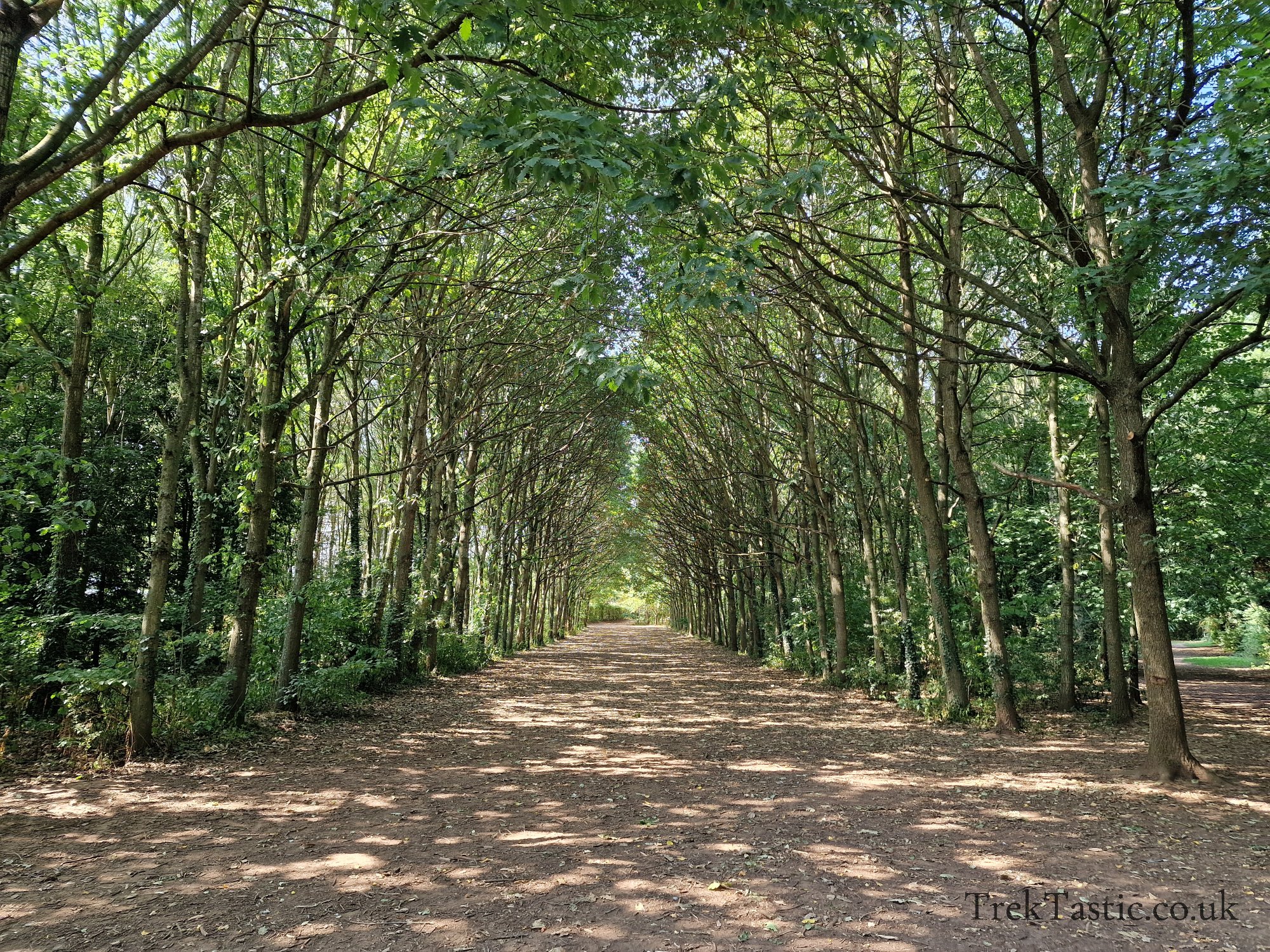 Newent Arboretum gallery image 11