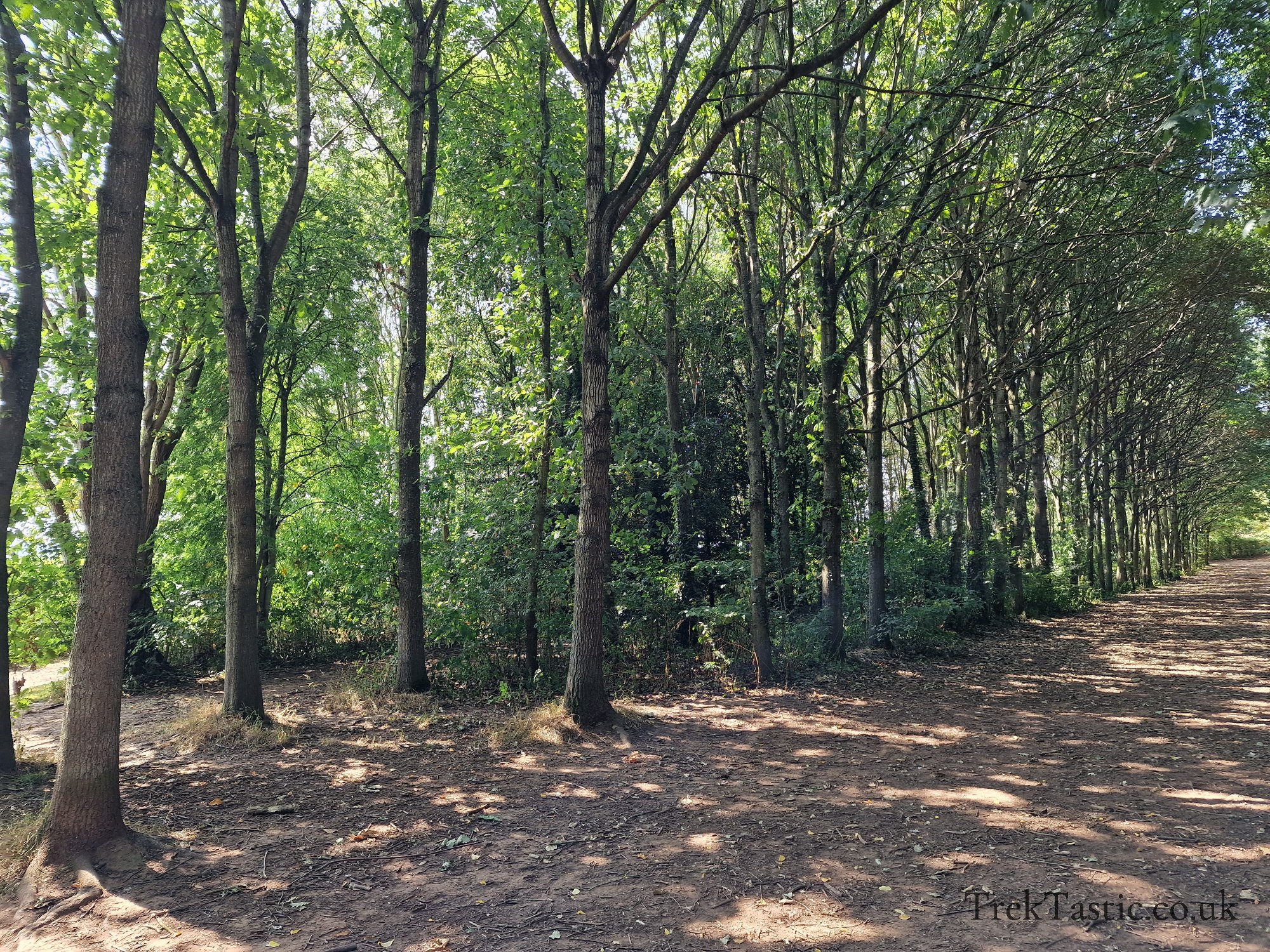 Newent Arboretum gallery image 12