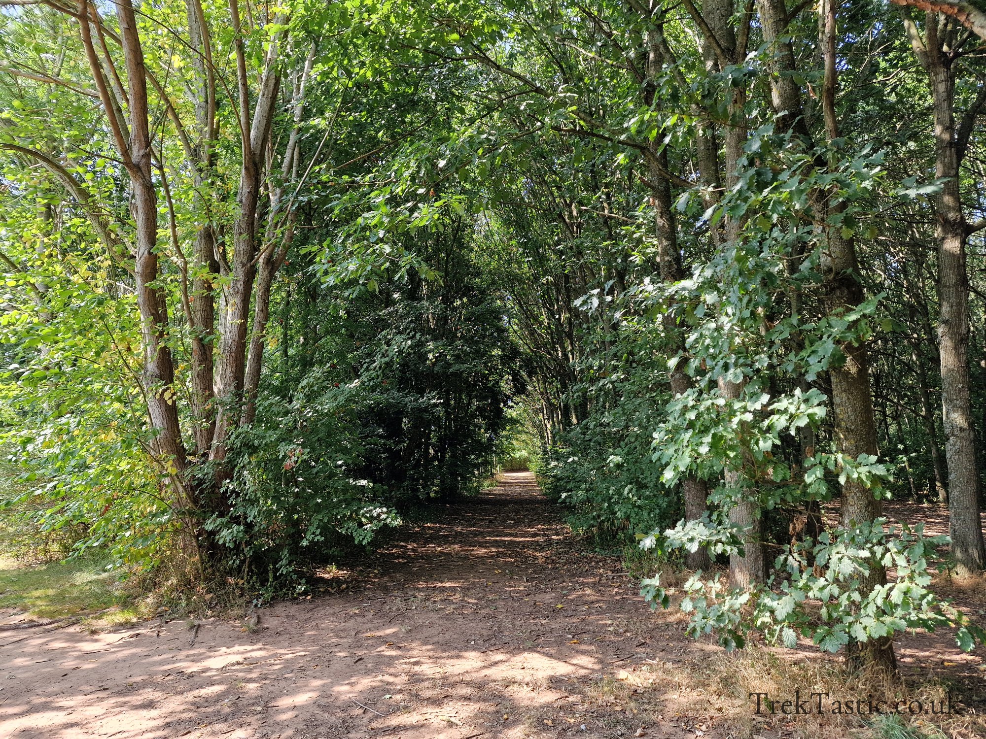 Newent Arboretum gallery image 13