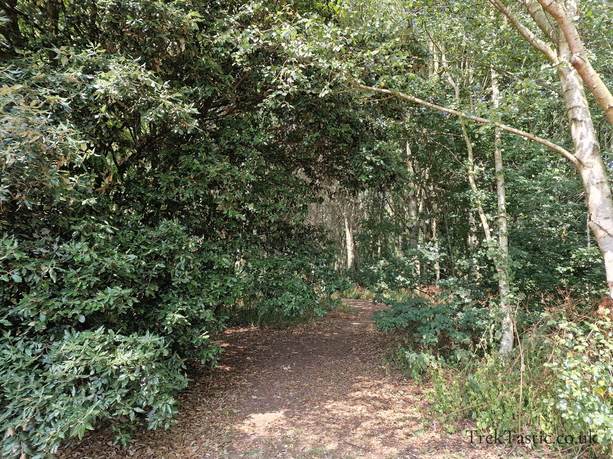 Newent Arboretum gallery image 14