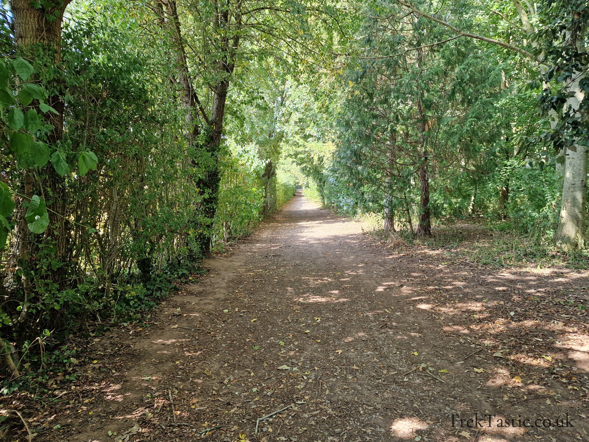 Newent Arboretum gallery image 16