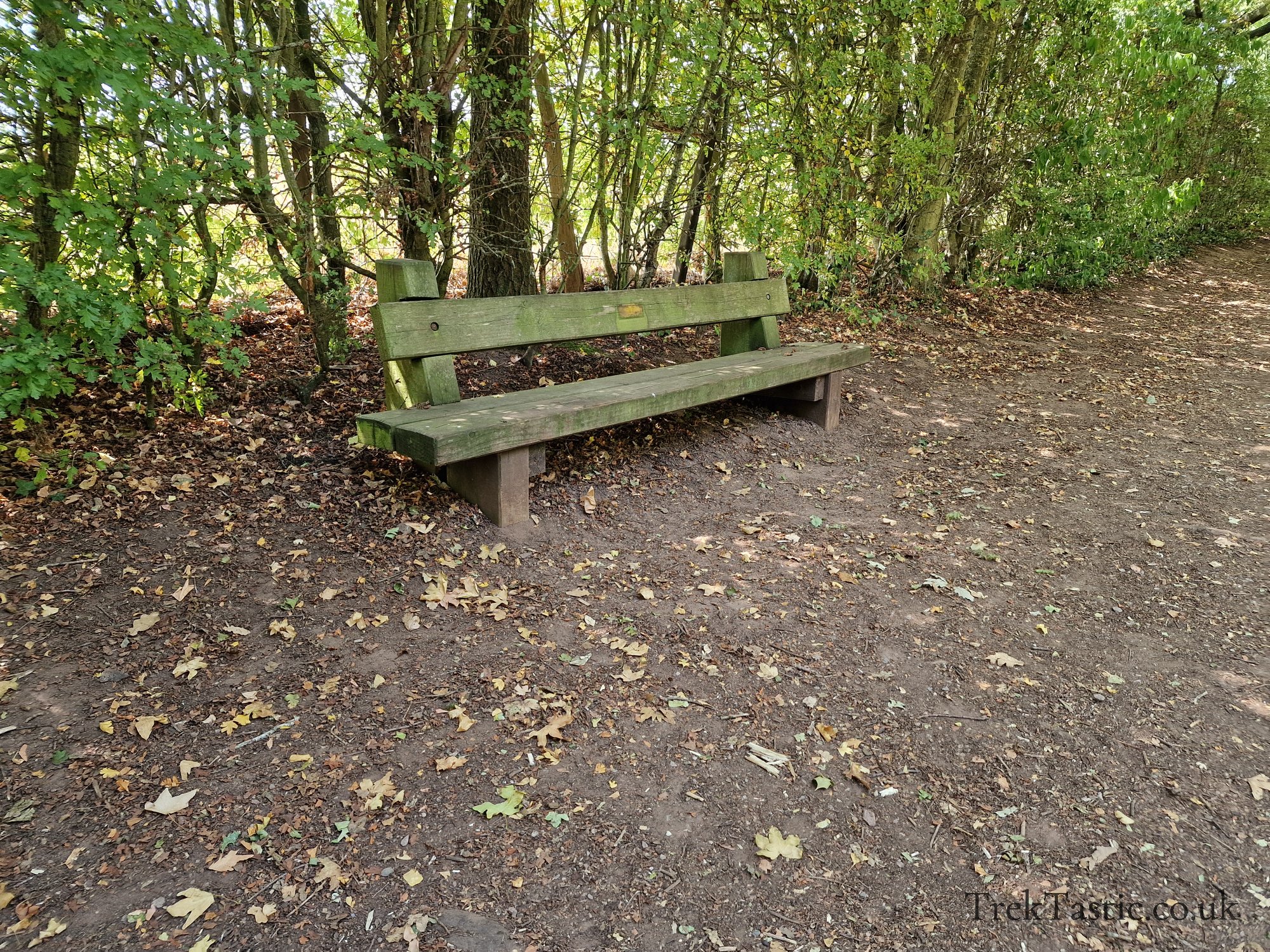 Newent Arboretum gallery image 17