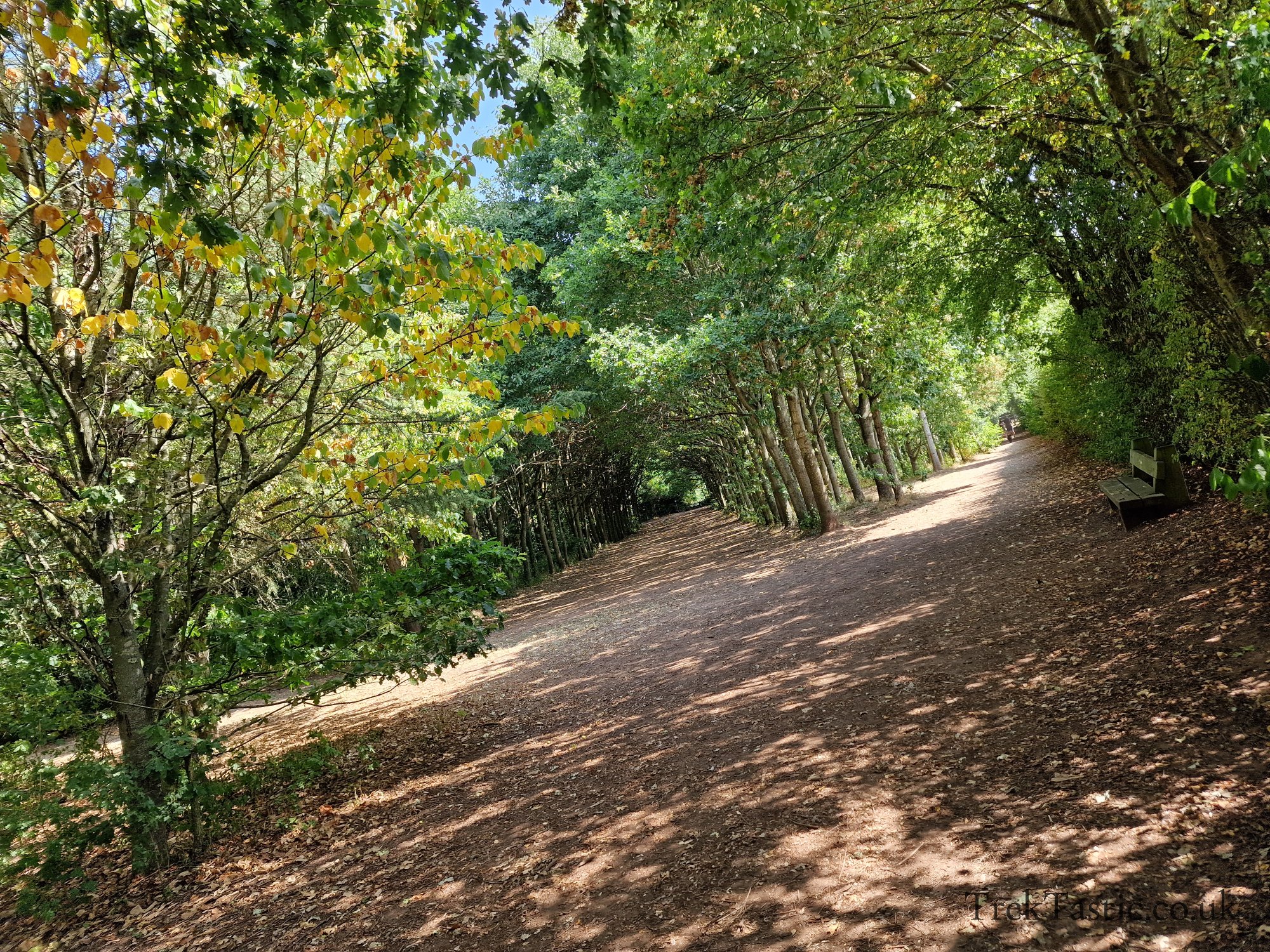 Newent Arboretum gallery image 18