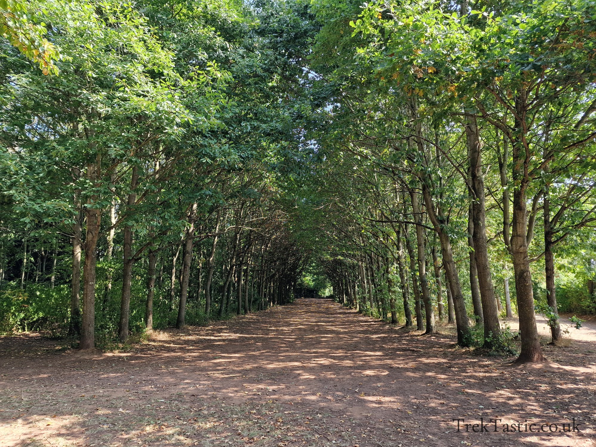 Newent Arboretum gallery image 19