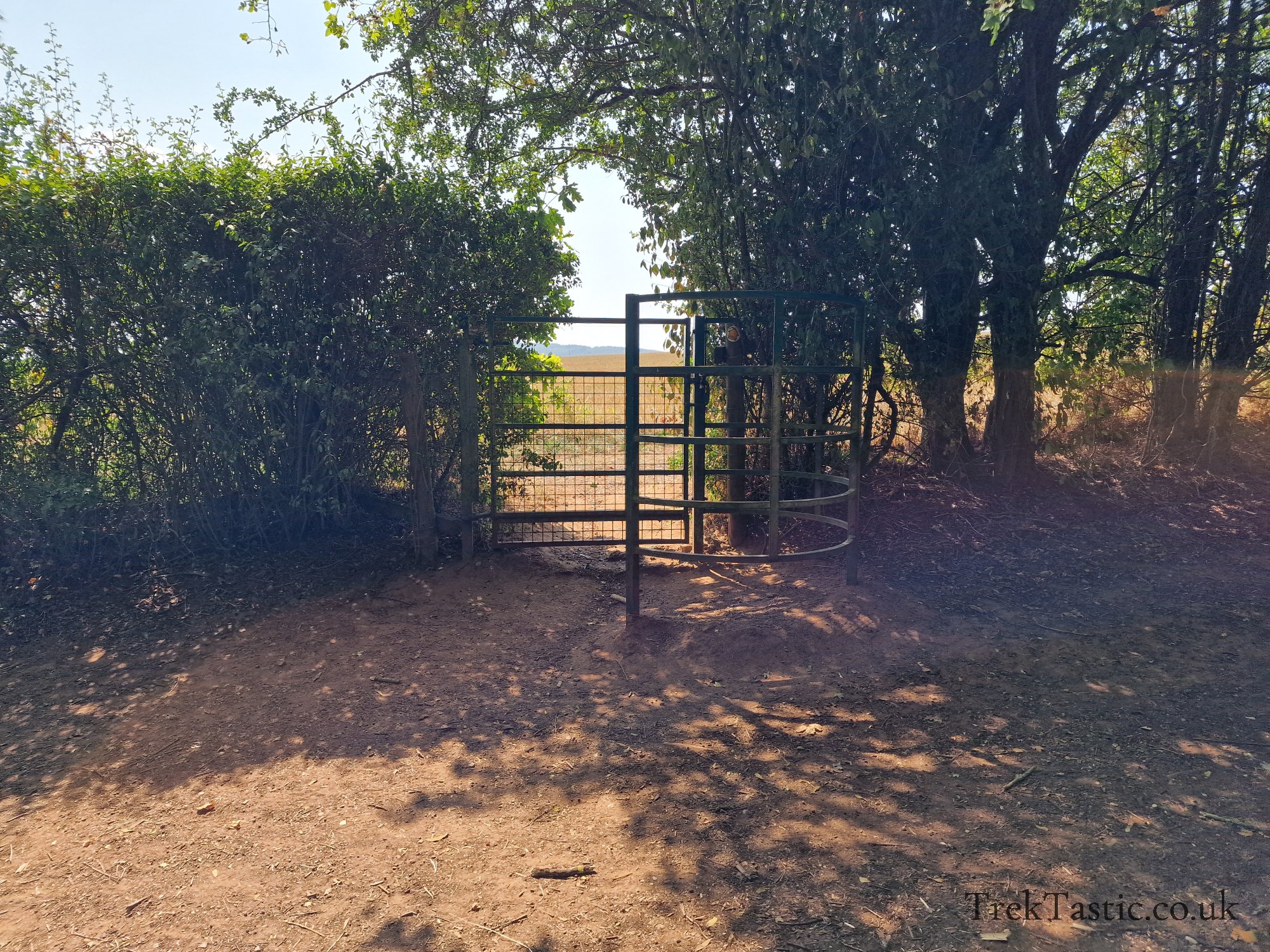 Newent Arboretum gallery image 20