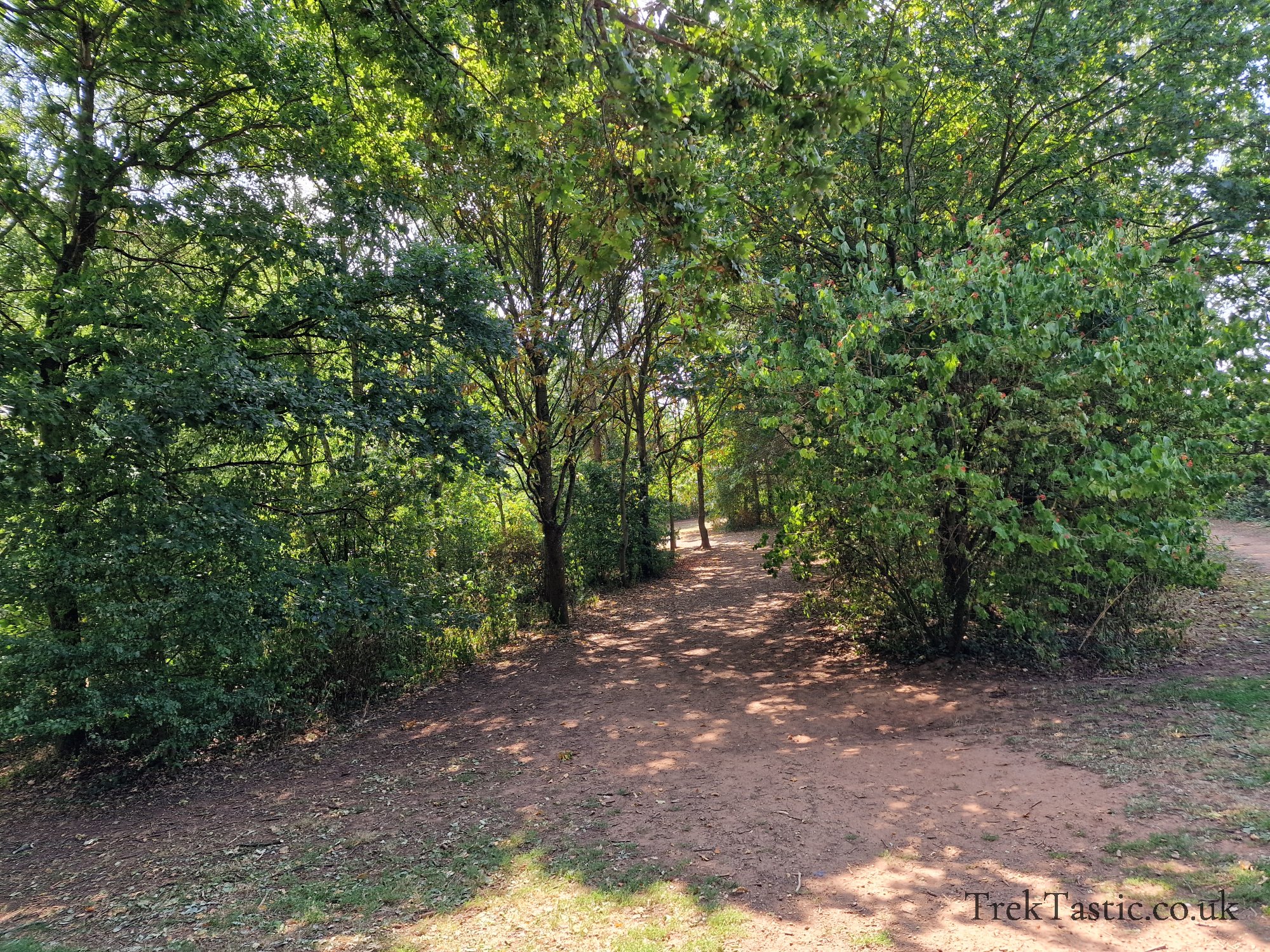 Newent Arboretum gallery image 22