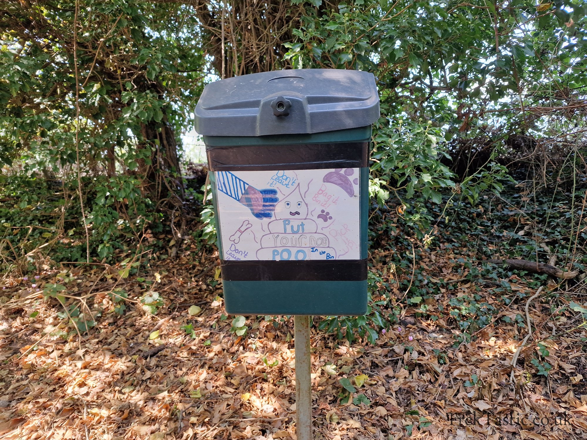 Newent Arboretum gallery image 24