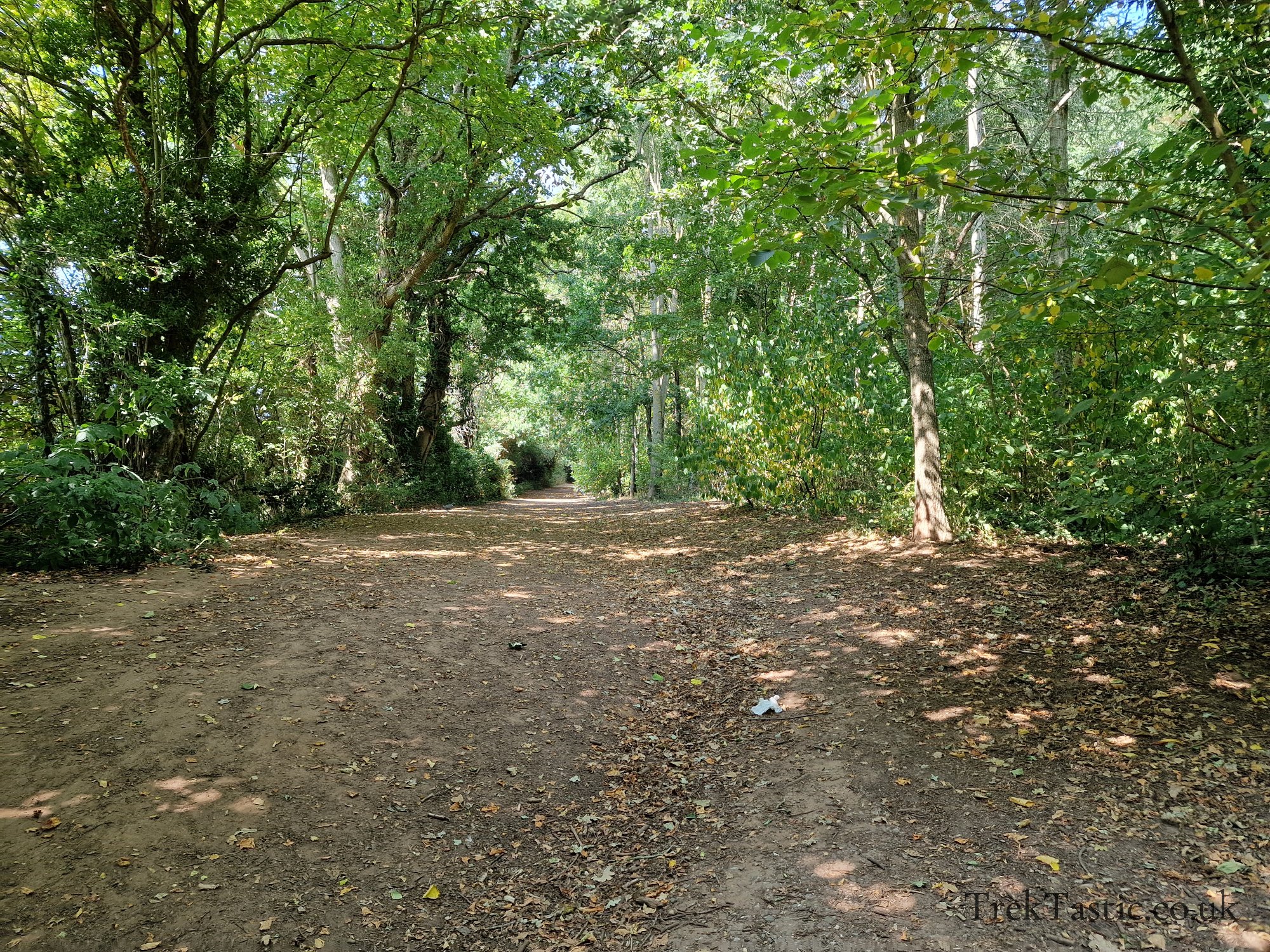 Newent Arboretum gallery image 25