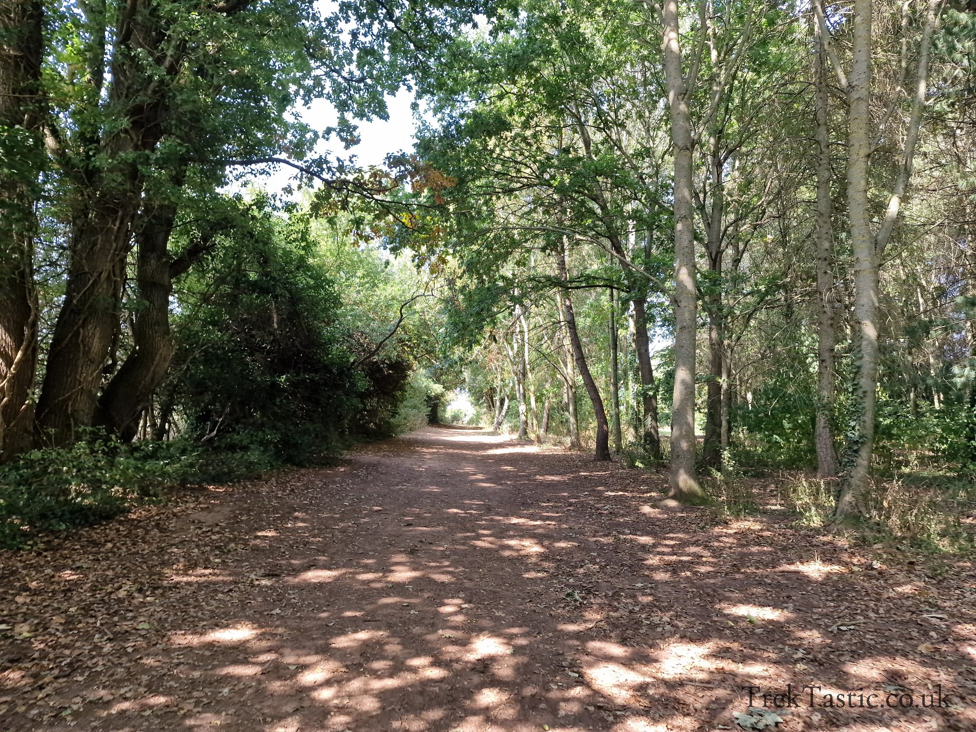 Newent Arboretum gallery image 26