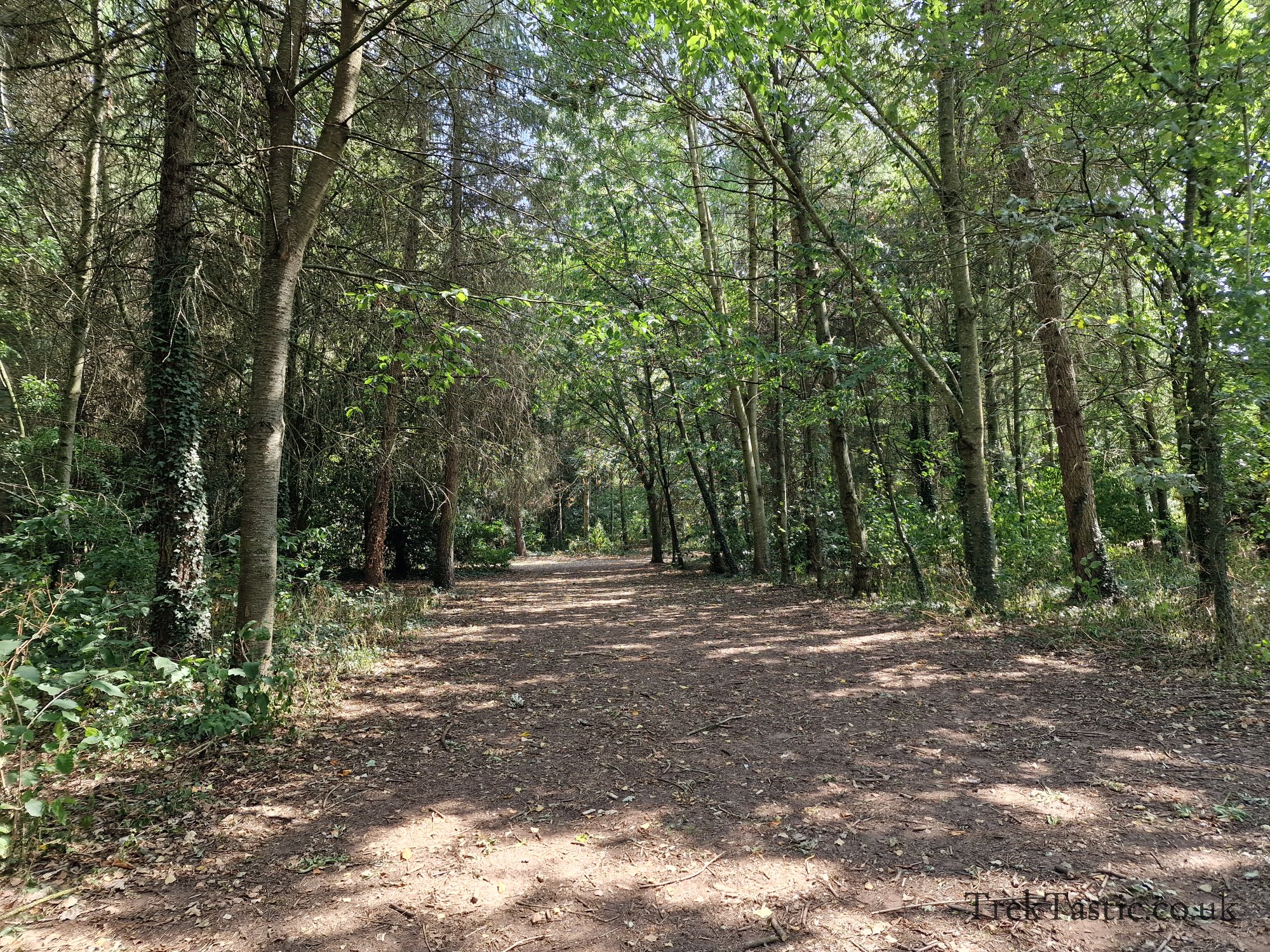 Newent Arboretum gallery image 28