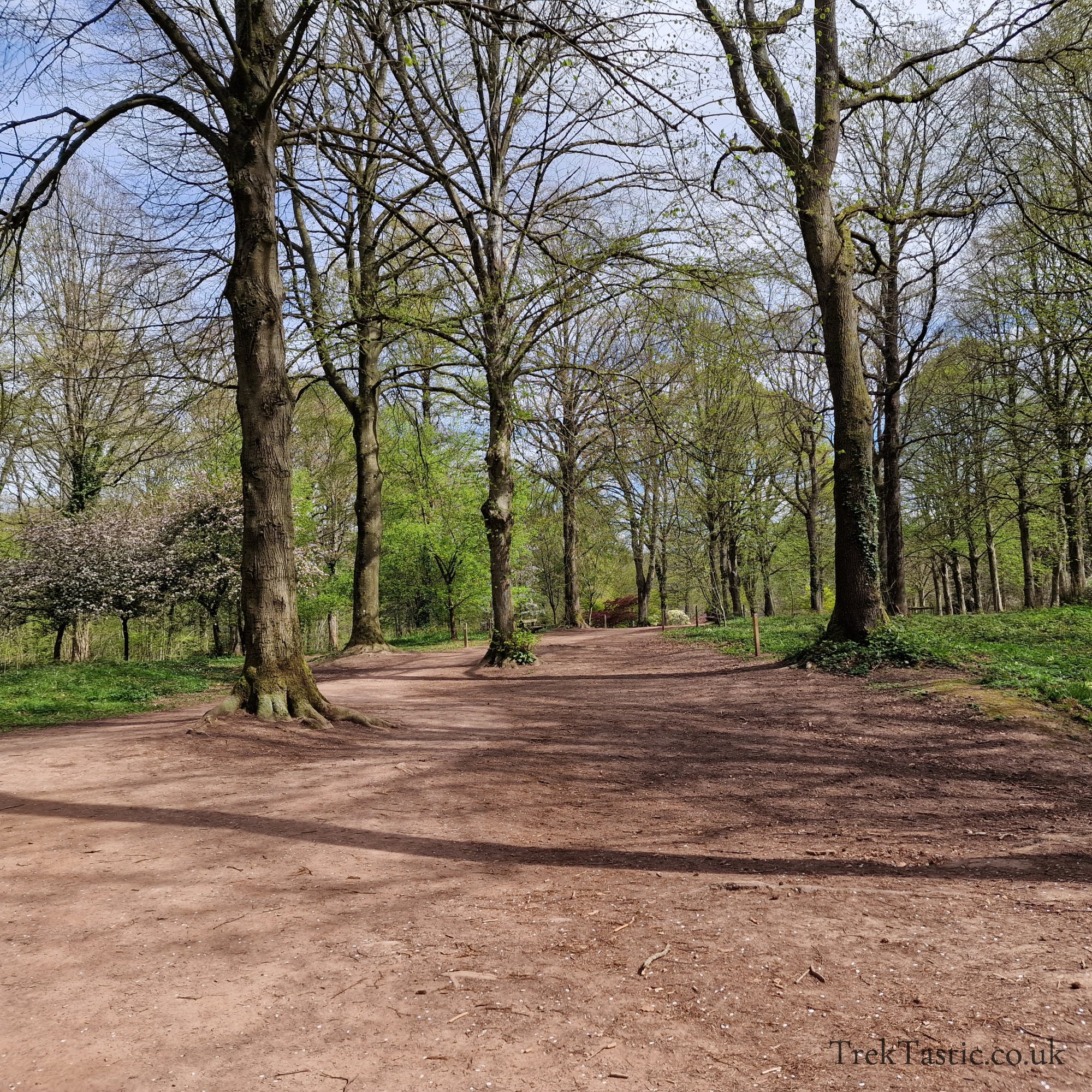 Queenswood Arboretum gallery image 2