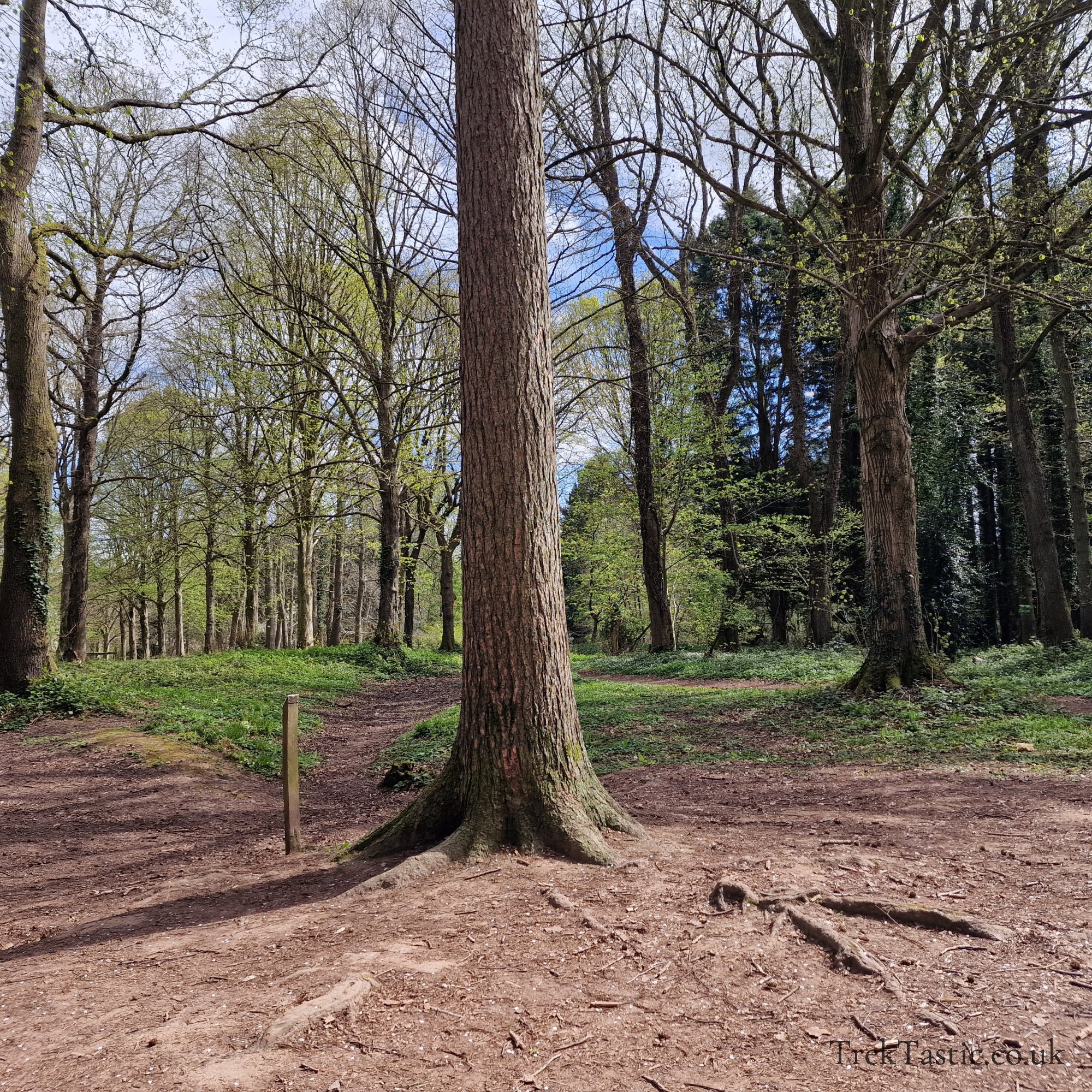 Queenswood Arboretum gallery image 3