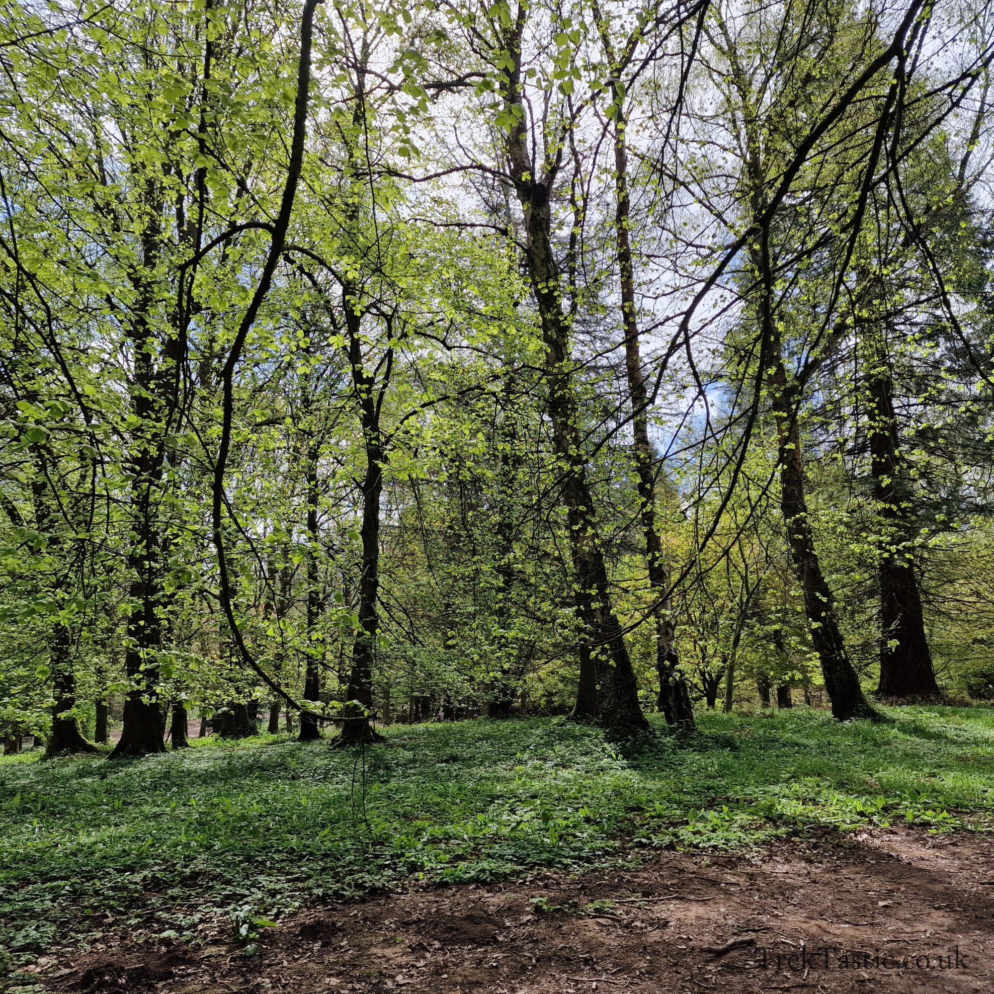 Queenswood Arboretum gallery image 7