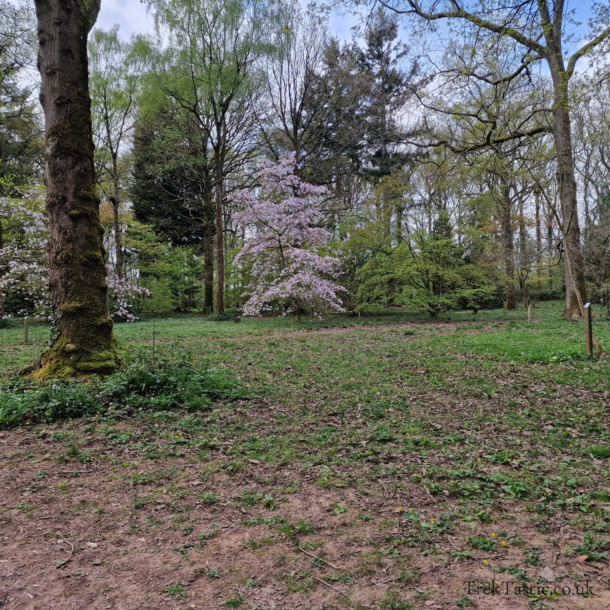 Queenswood Arboretum gallery image 8