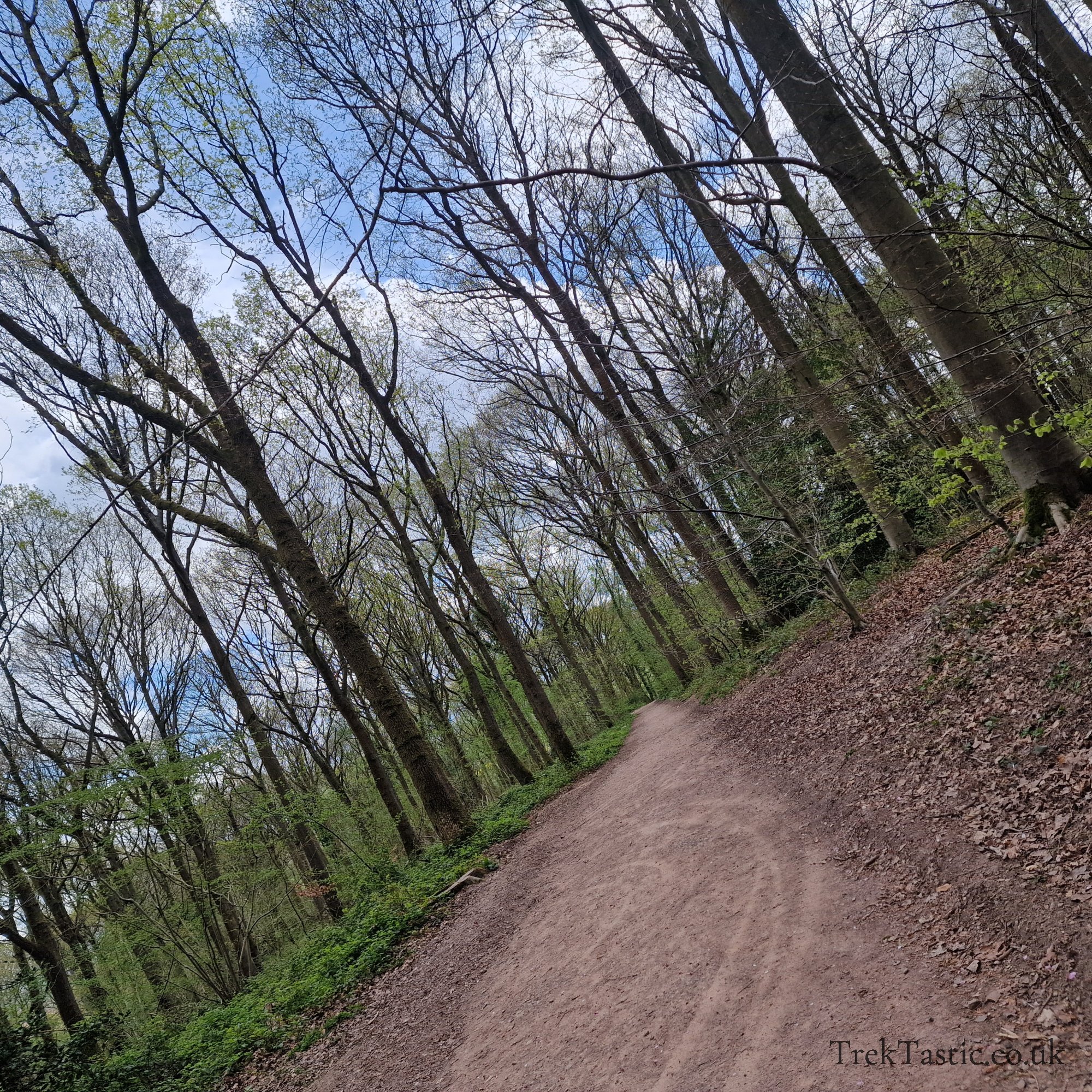 Queenswood Arboretum gallery image 12