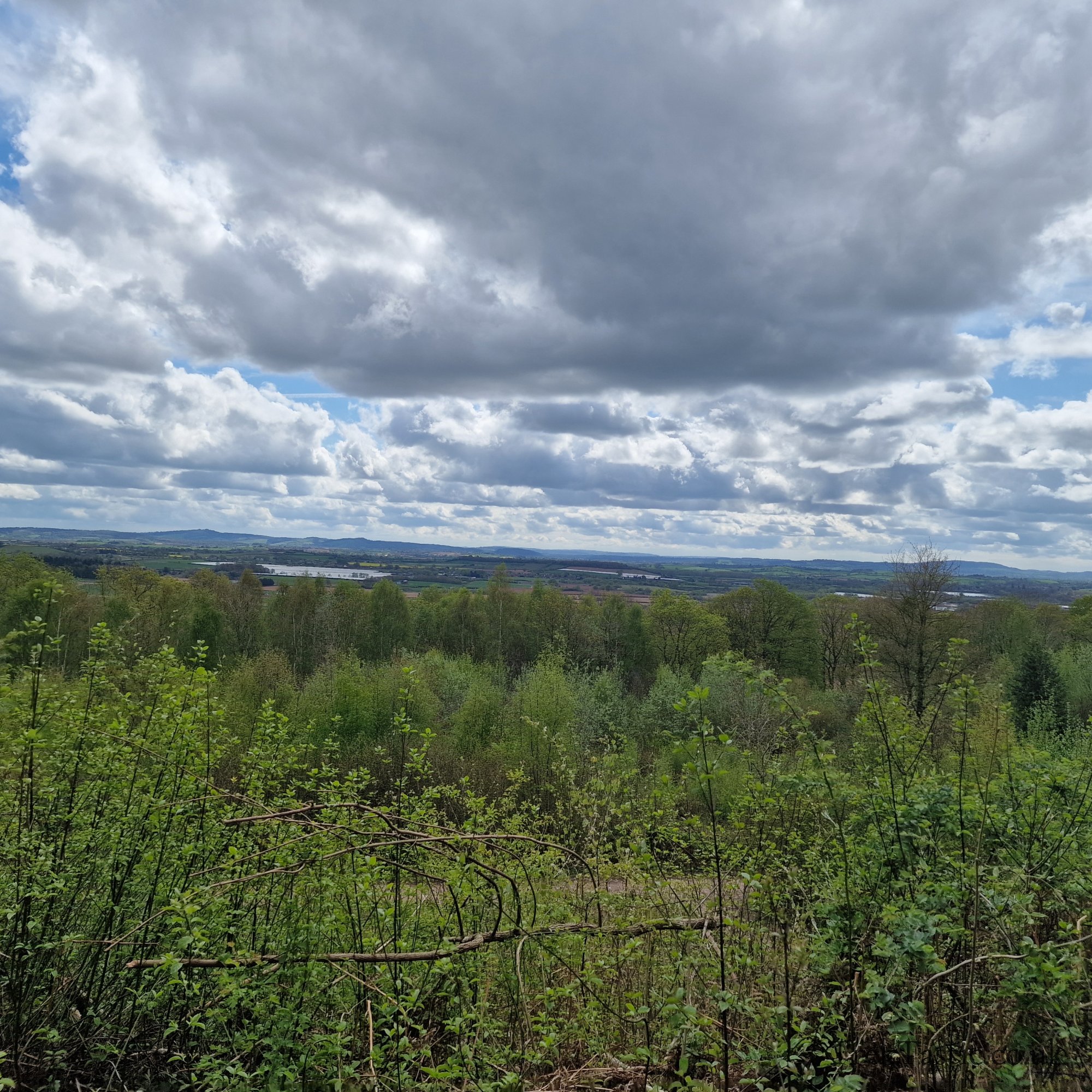 Queenswood Arboretum gallery image 14